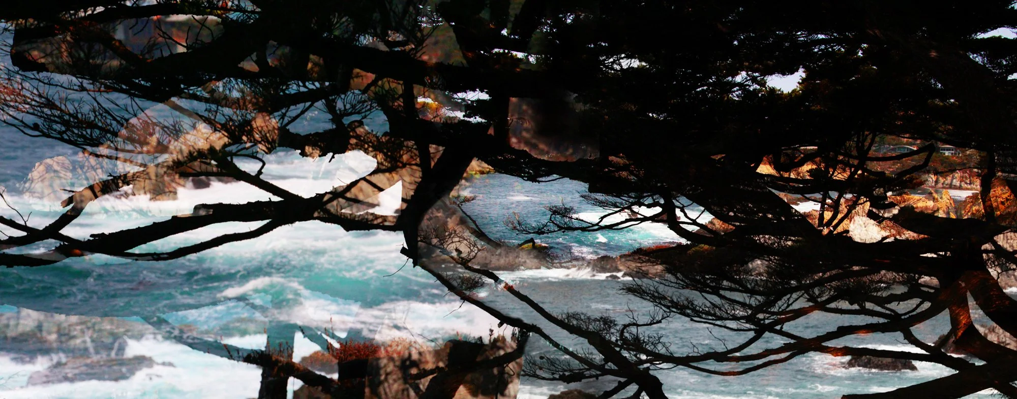 Carmel Cove Walk 1, 2021 | inkjet print