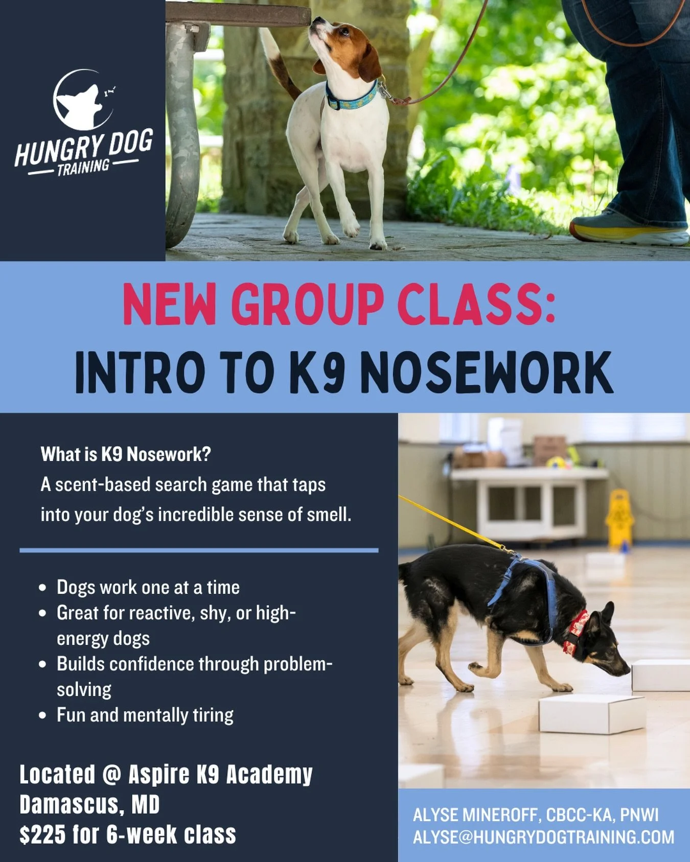 So excited to be getting Nosework classes up and running! 

What is nosework?

Nose work is a scent-based activity inspired by detection dogs, where your dog learns to search for hidden odors using their powerful sense of smell. It&rsquo;s fun, menta