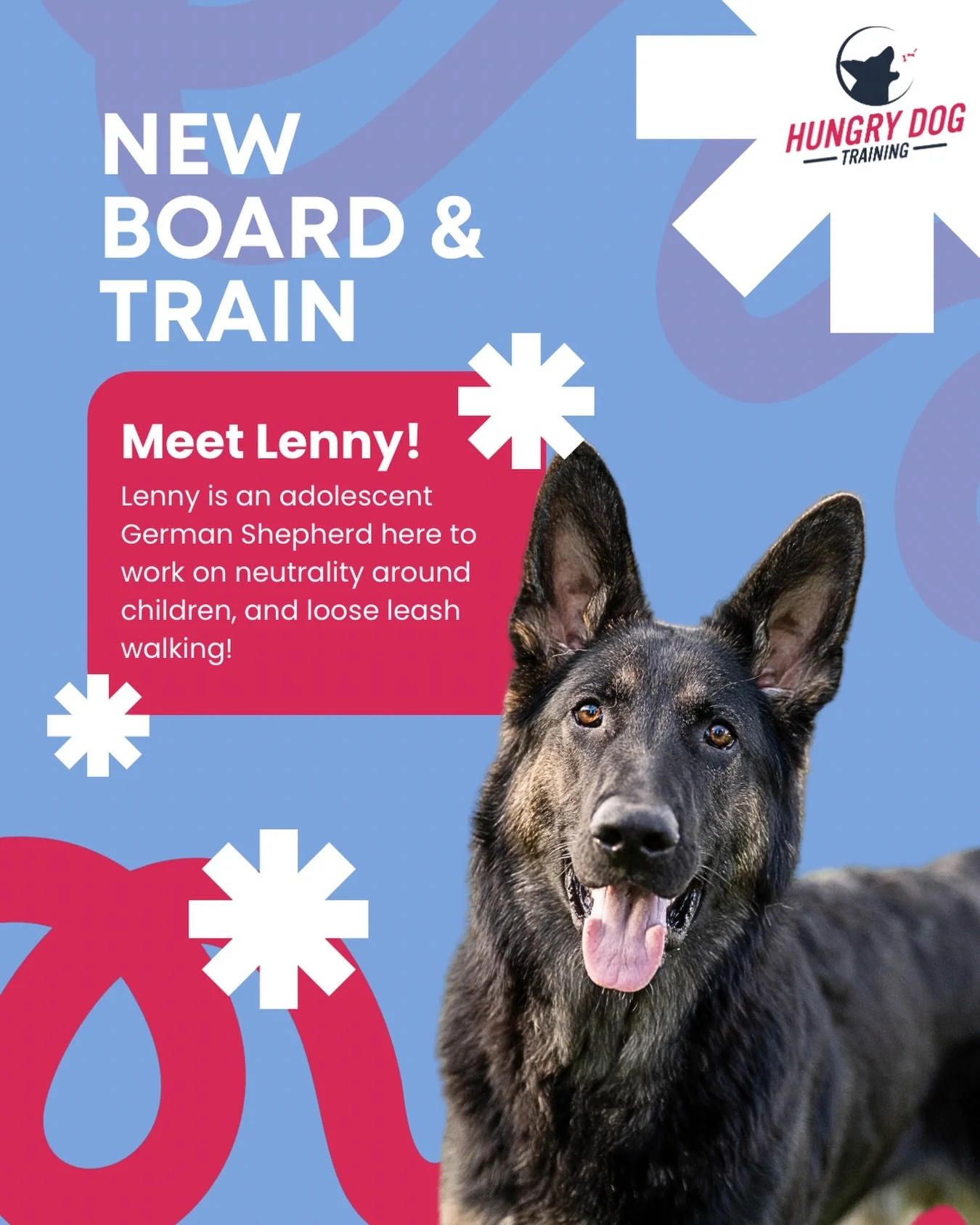 Meet Lenny, my newest Board and Train! You may have already seen his adorable self in my stories. 

I feel like I&rsquo;ve only been getting black and tan dogs lately!!