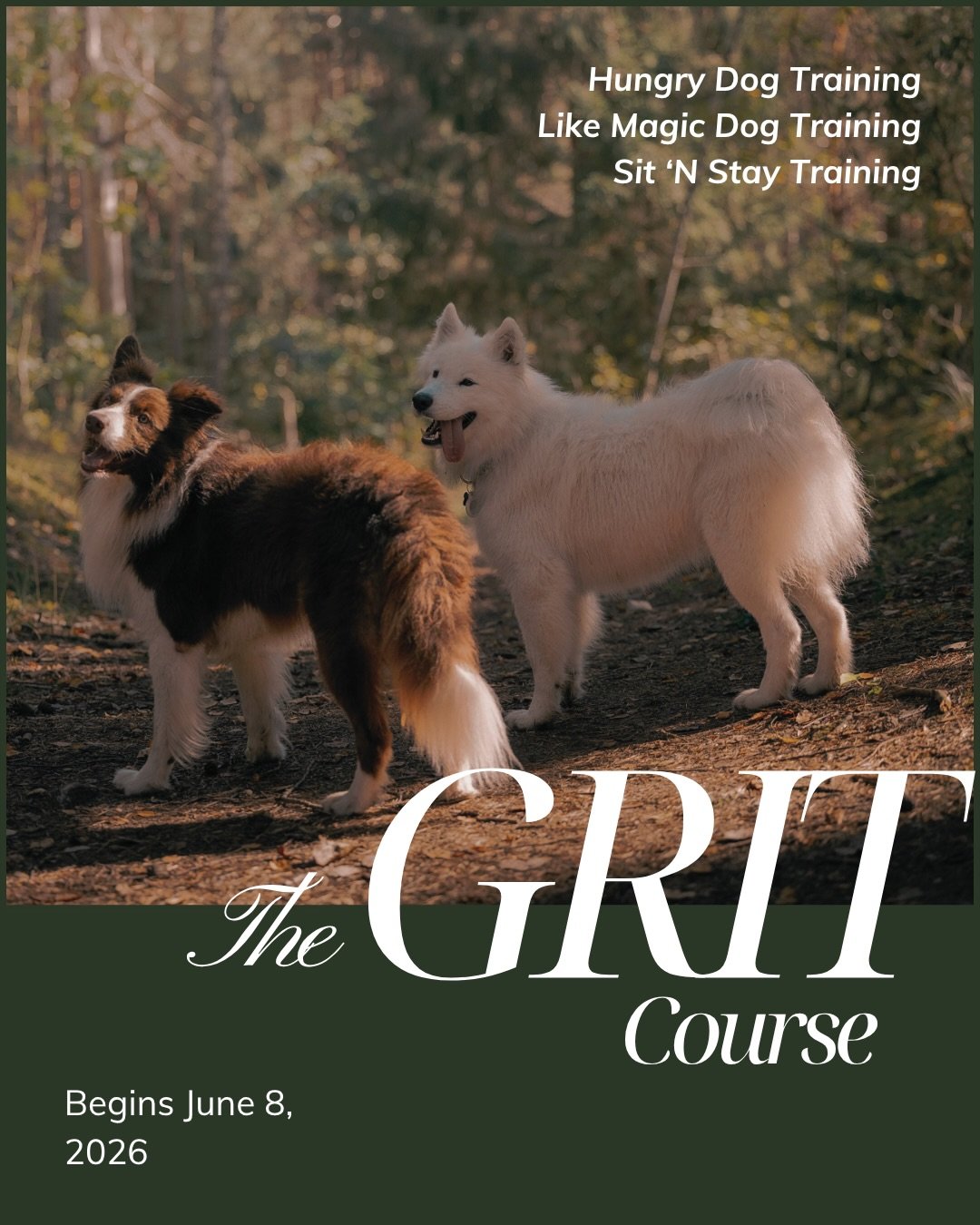 GRIT is an 8-week virtual course designed to help dogs (and their humans) build real-life skills for navigating the world with more calm, confidence, and freedom. 

It isn&rsquo;t another protocol to stop your dog from barking and lunging. It&rsquo;s