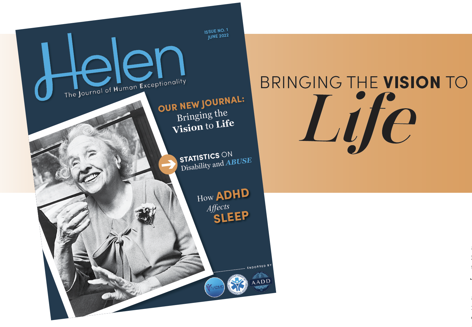 Bringing the Vision to Life