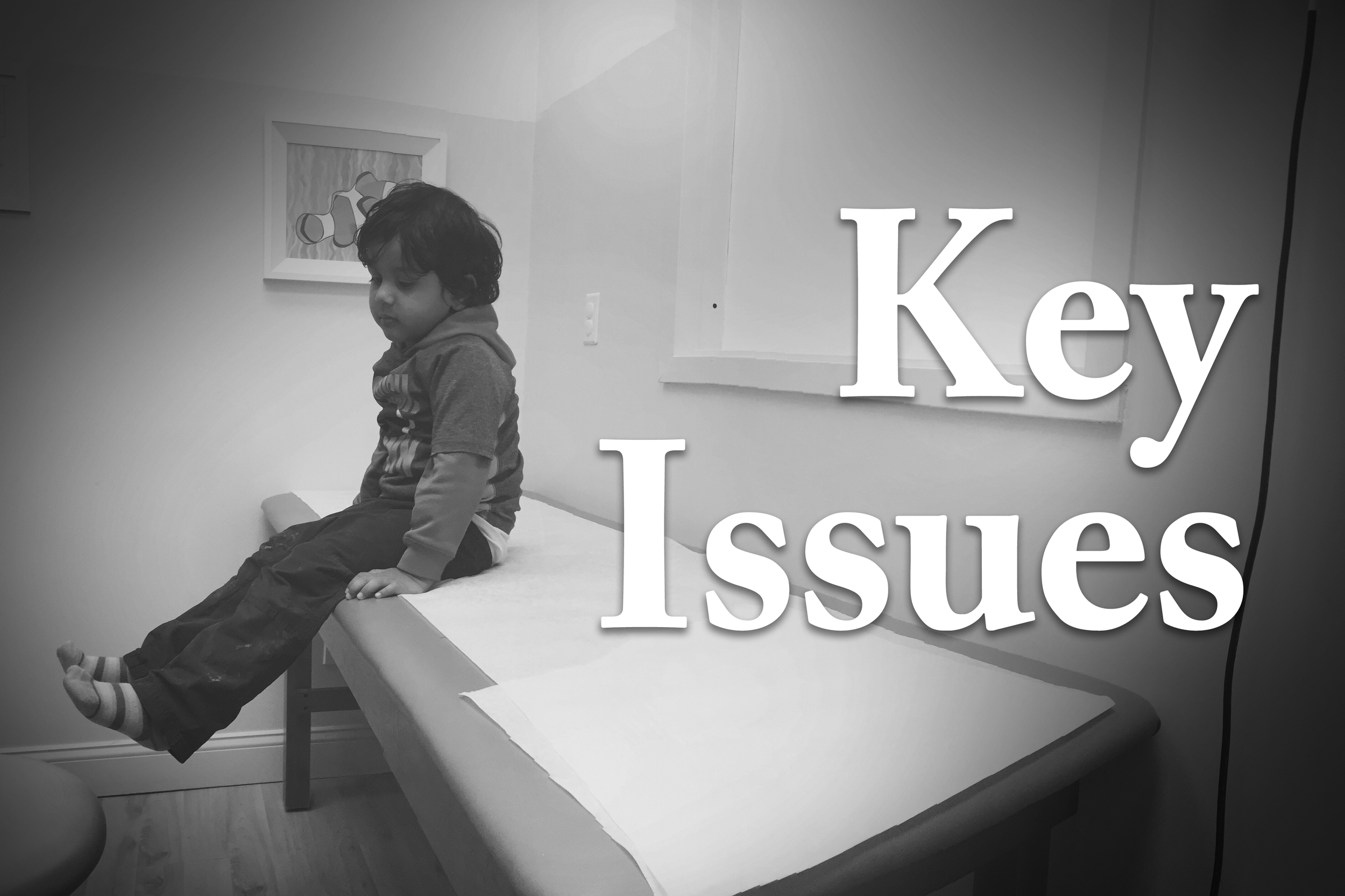 Key Issues