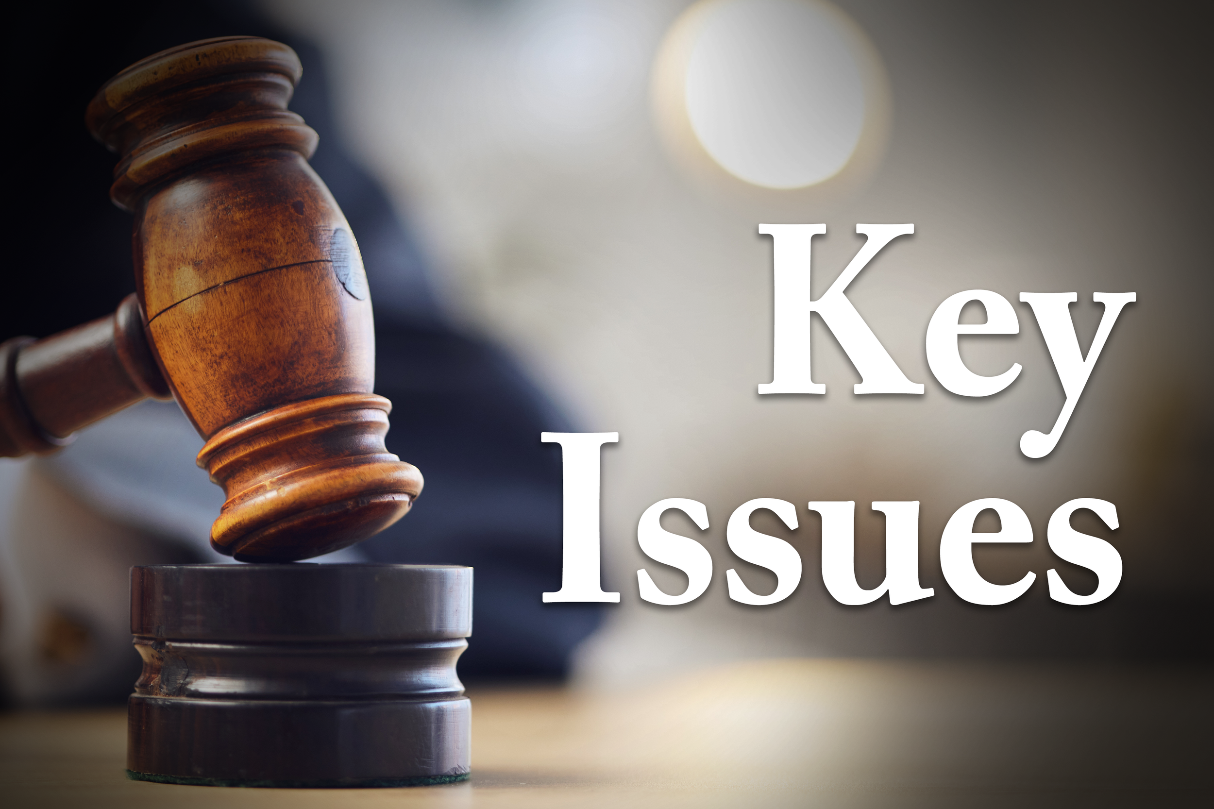 Key Issues