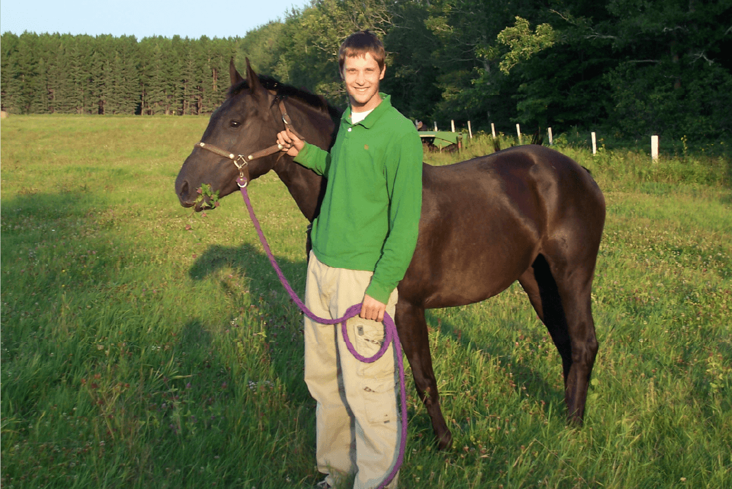 The Horse and His Pelvis