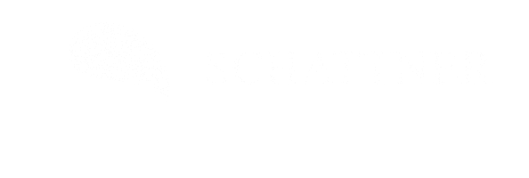 Schattner Foundation