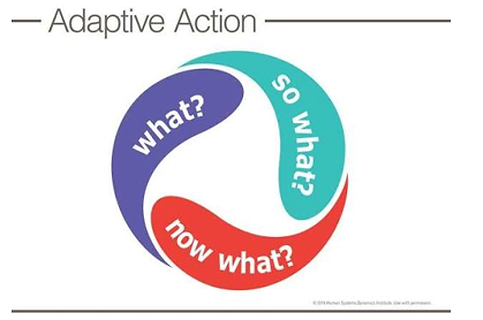 Adaptive Action: What? So what? Now what?