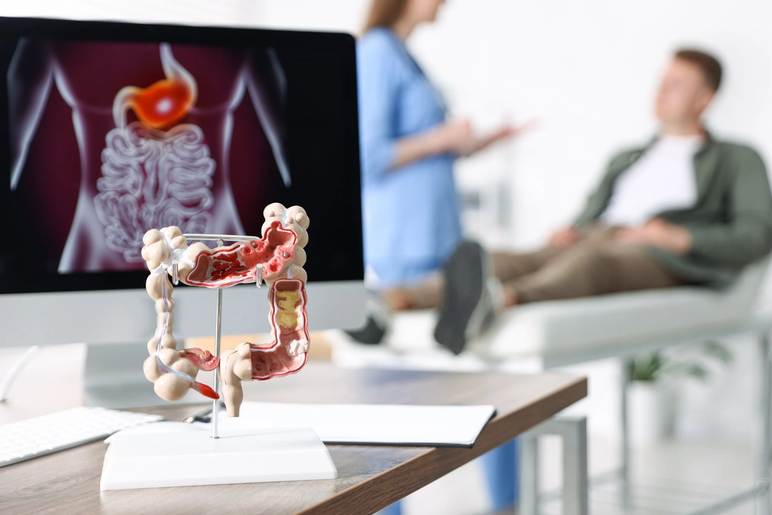 Foreground: a model of the colon. Background: a man talks to his doctor.