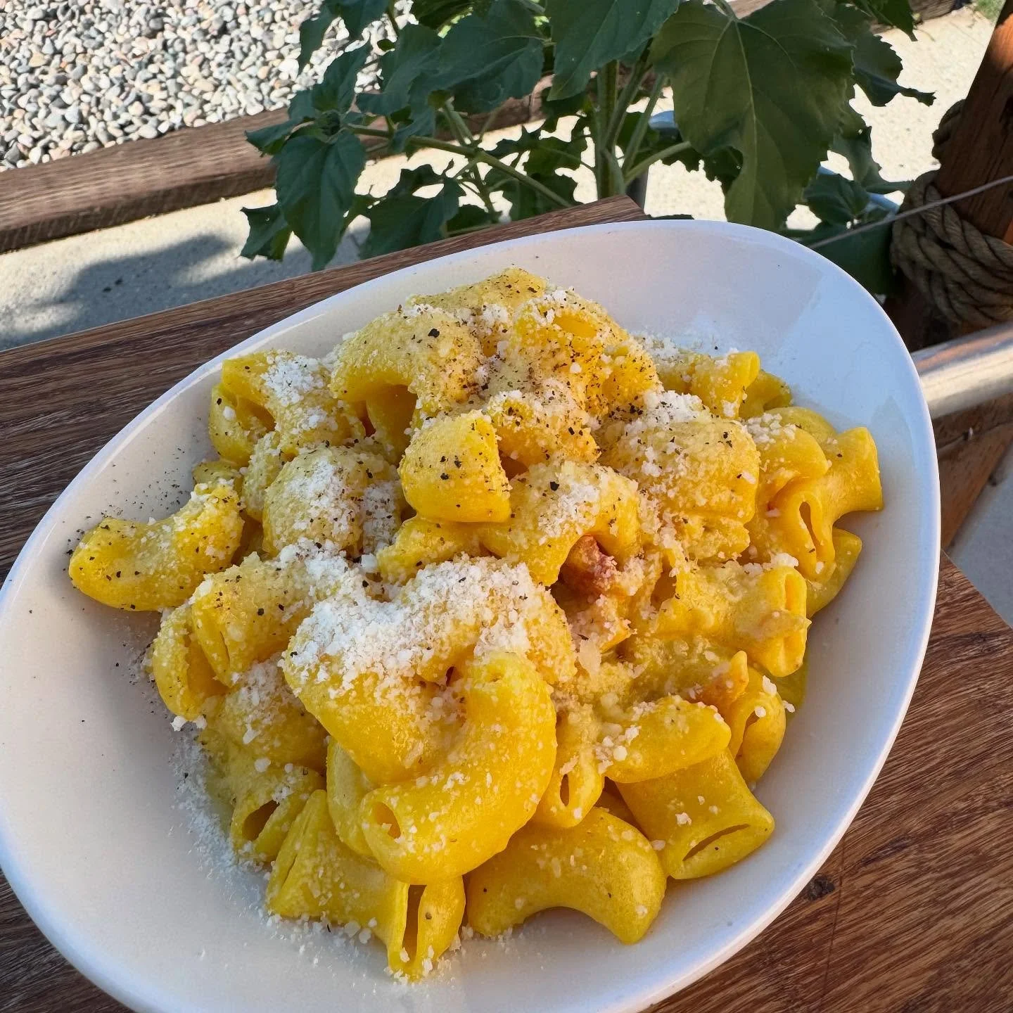 Saffron Ricotta with Pancetta
A special we love bringing back💛🌻