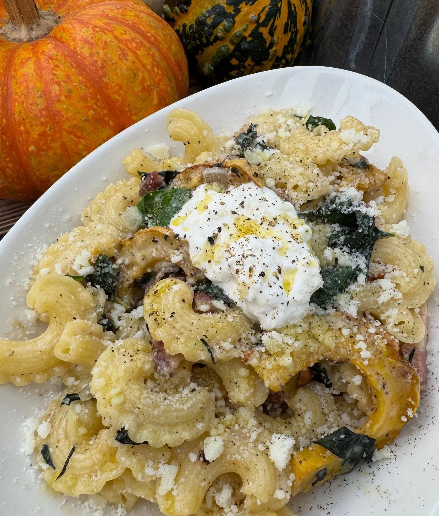 Special this week! 🫶
LIGHT CREAM SAUCE with DELICATA SQUASH, KALE, PANCETTA and STRACCIATELLA