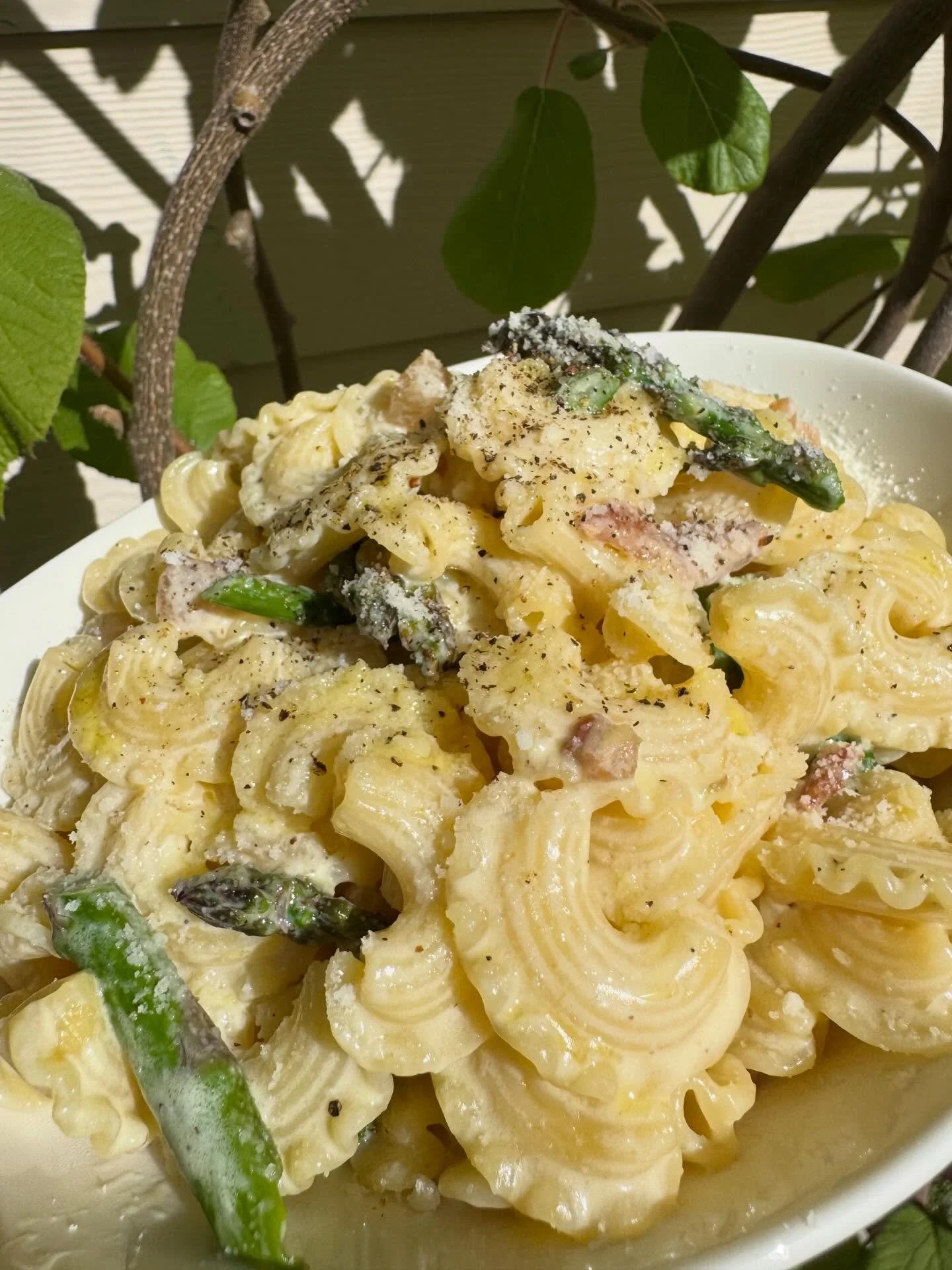 LIGHT CREAM SAUCE WITH ASPARAGUS AND GUANCIALE