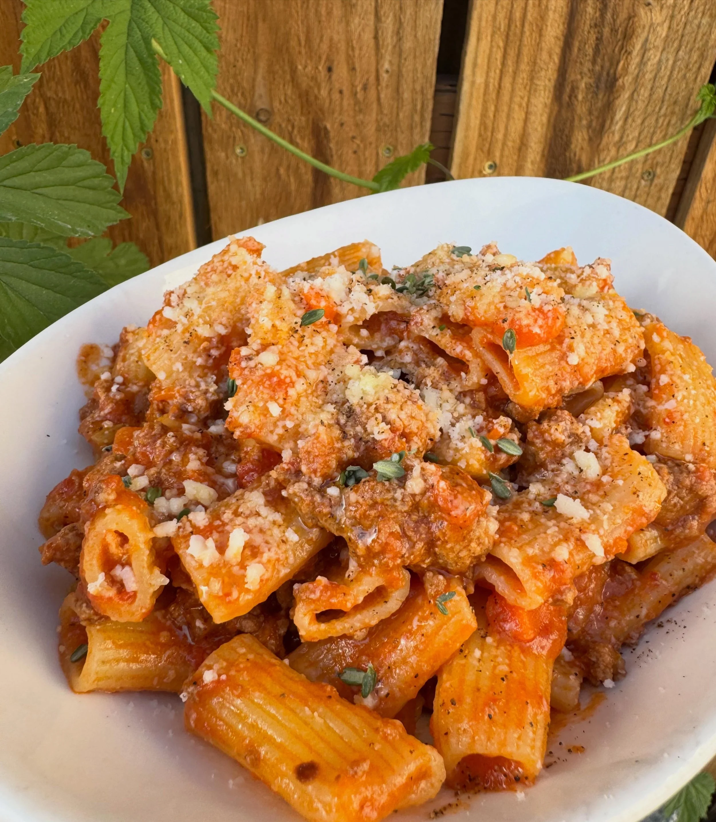 BOLOGNESE