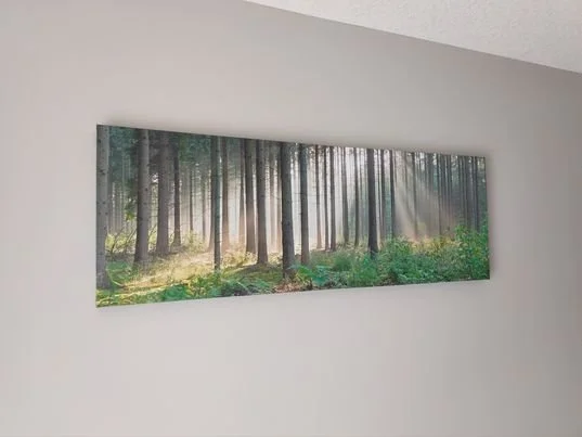 nature picture hung on wall