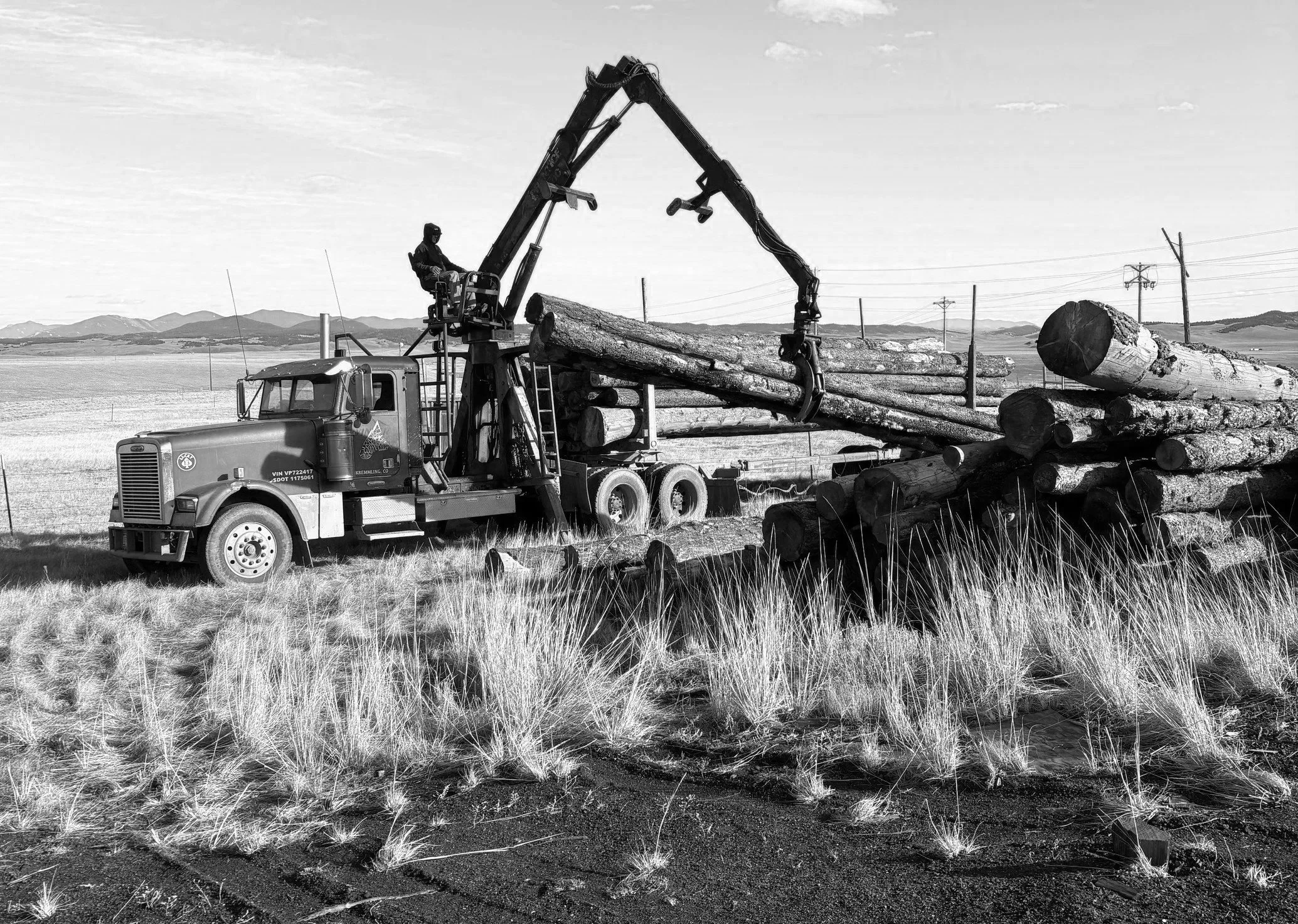 Douglas Fir Logs for milling lumber arrive in como