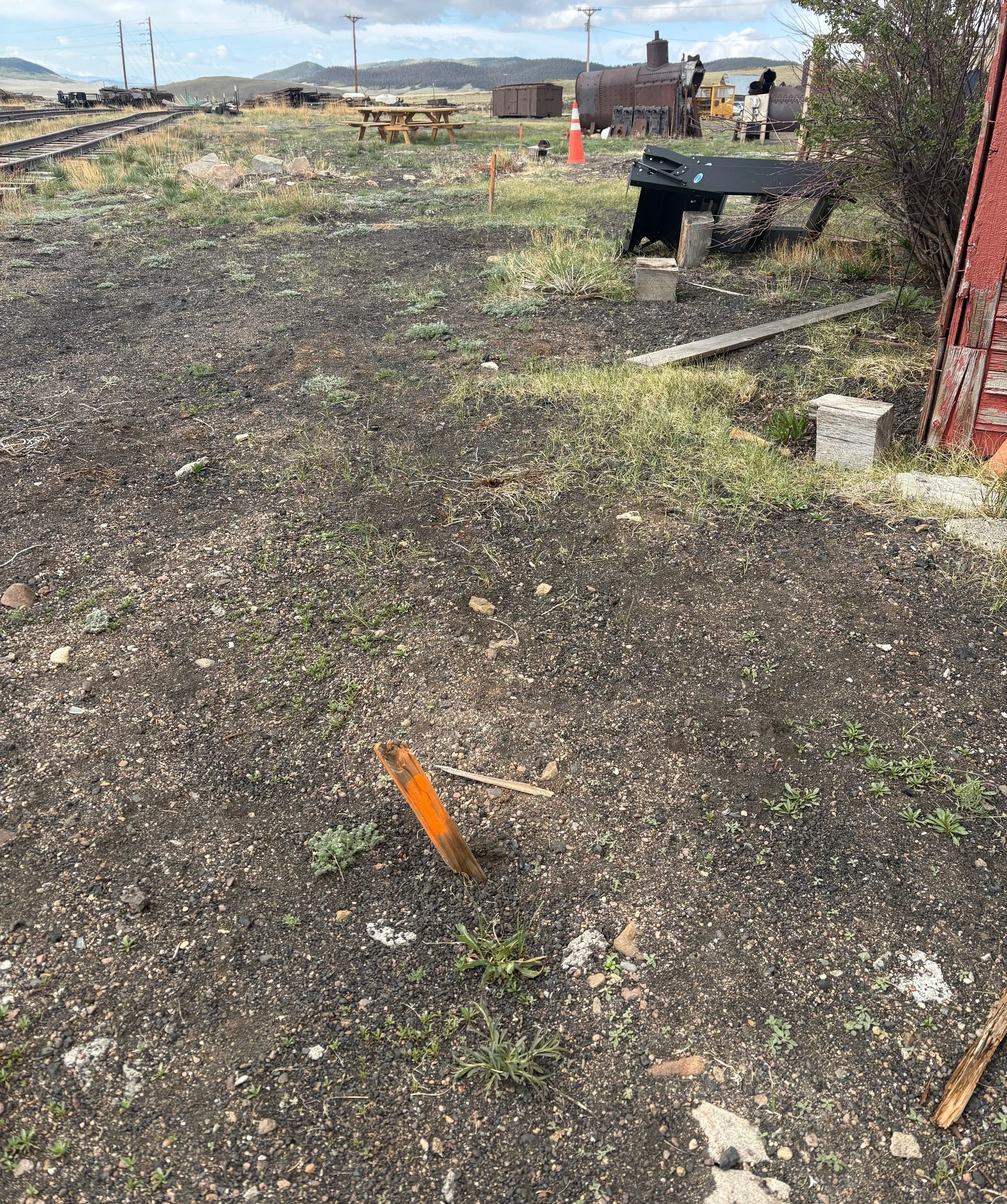 track 16.jpeg