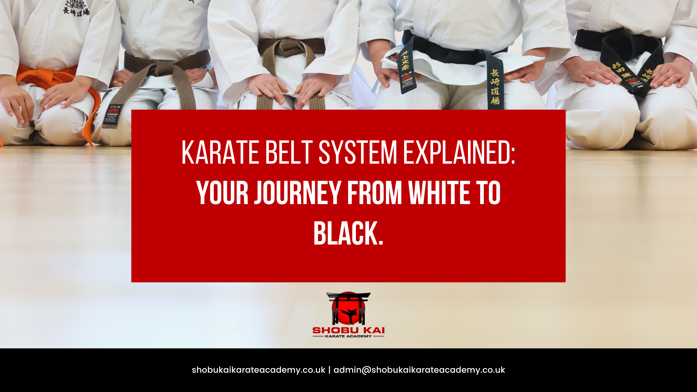 Karate Belt System Explained: Your Journey from White to Black.