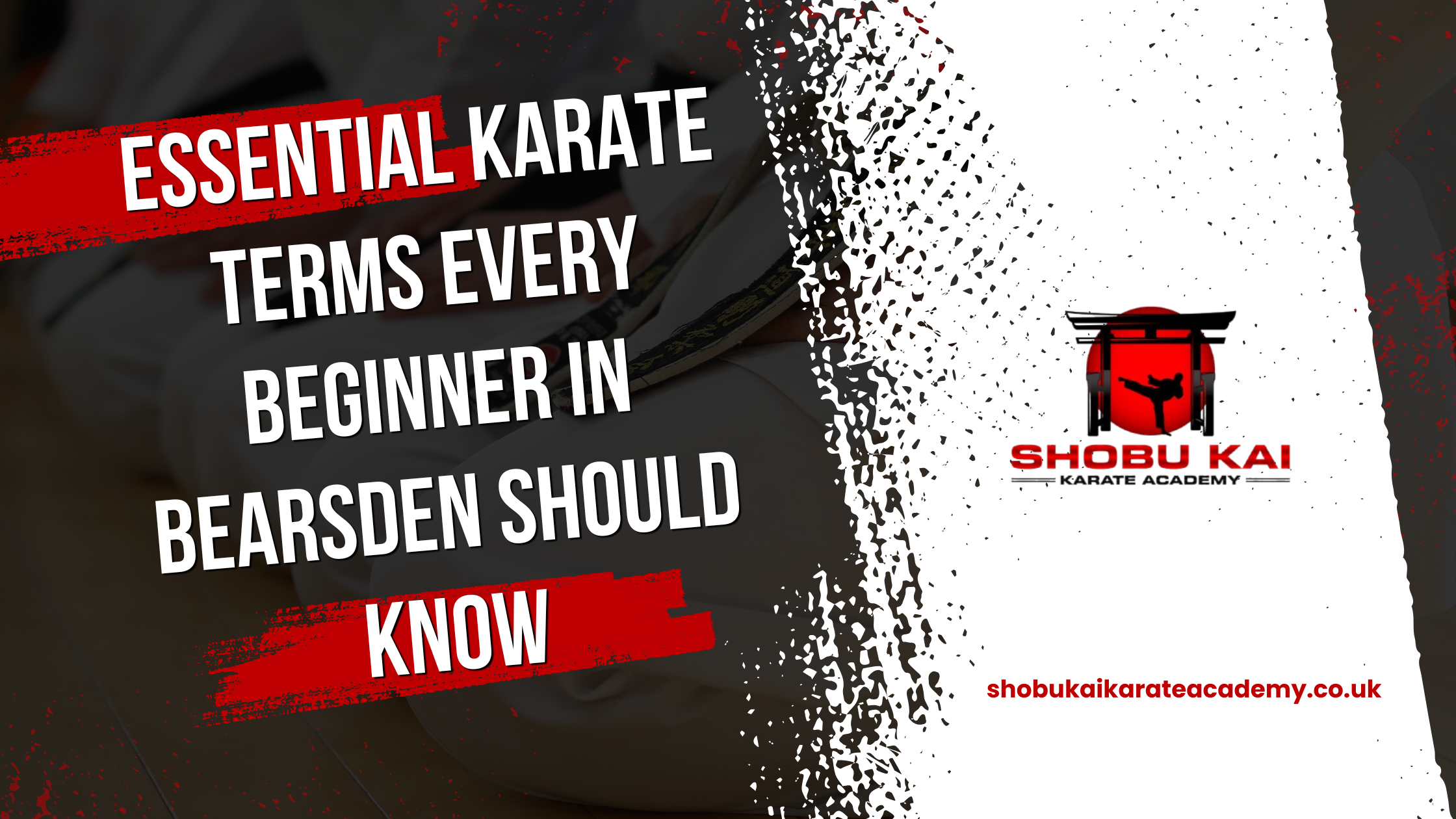 Essential Karate Terms Every Beginner Should Know.
