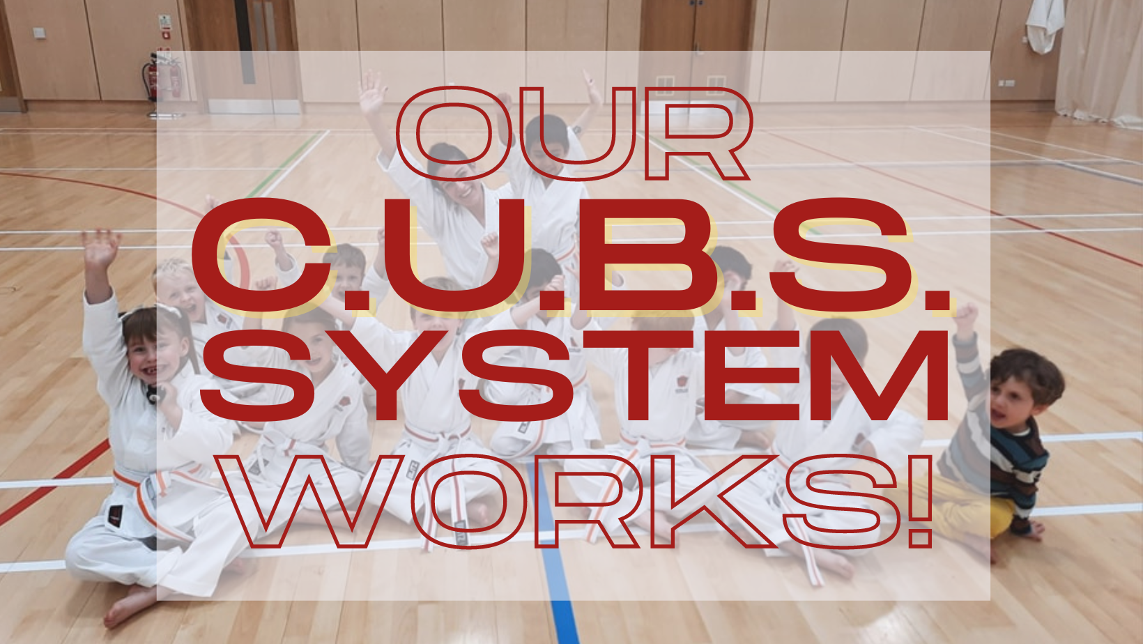 It's all down to our C.U.B.S. system | Pre and Early School Karate ...