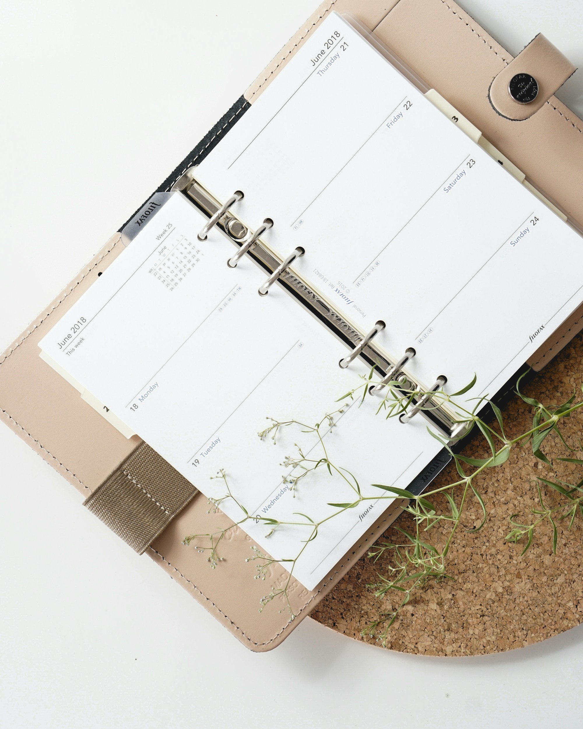 Routine Revolution: Elevate Your Mornings and Evenings