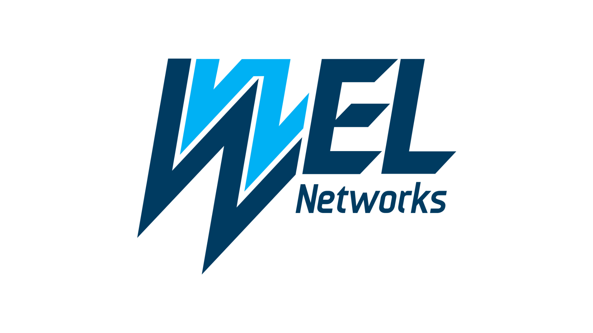 WEL Networks.png