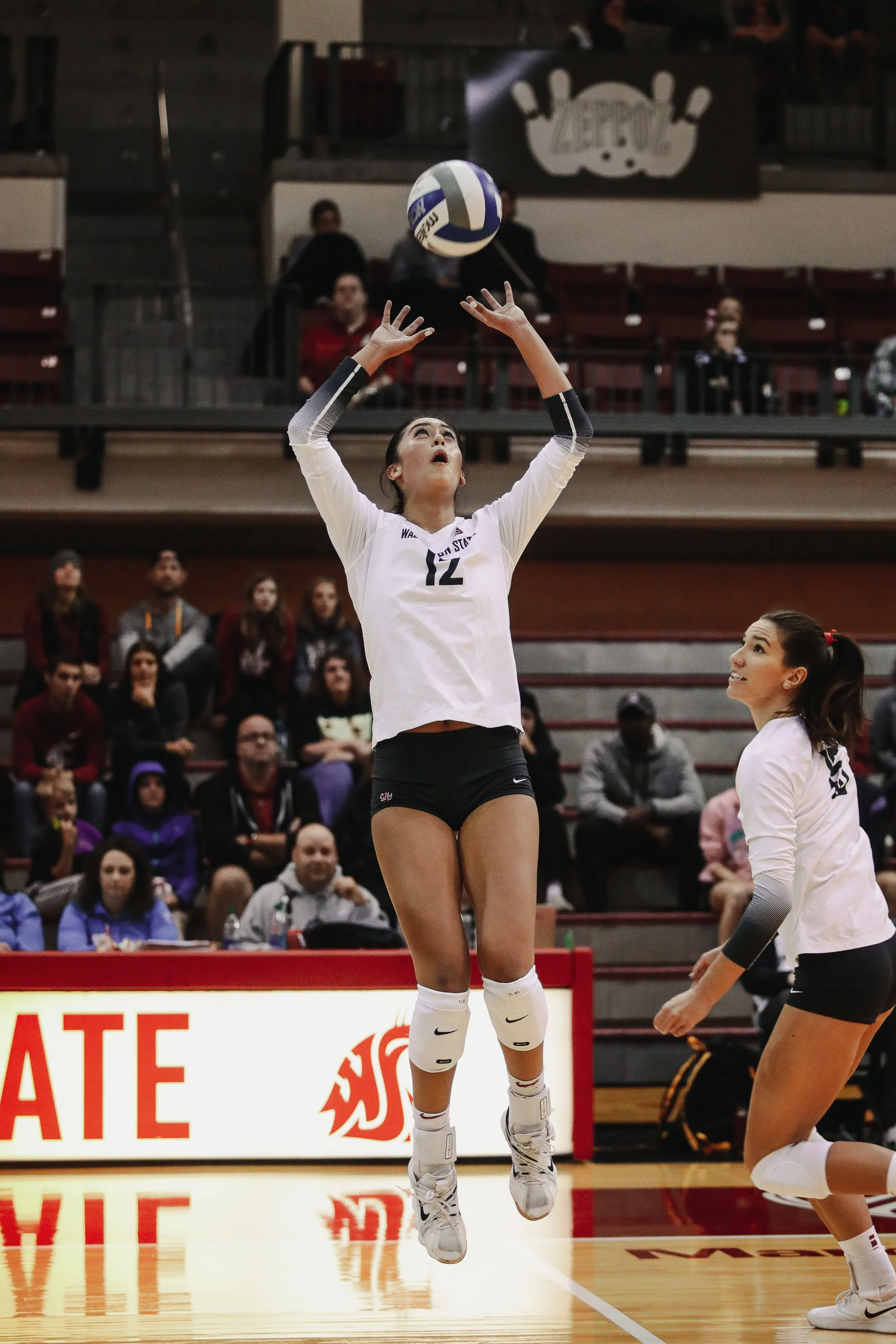 vball (5).jpg
