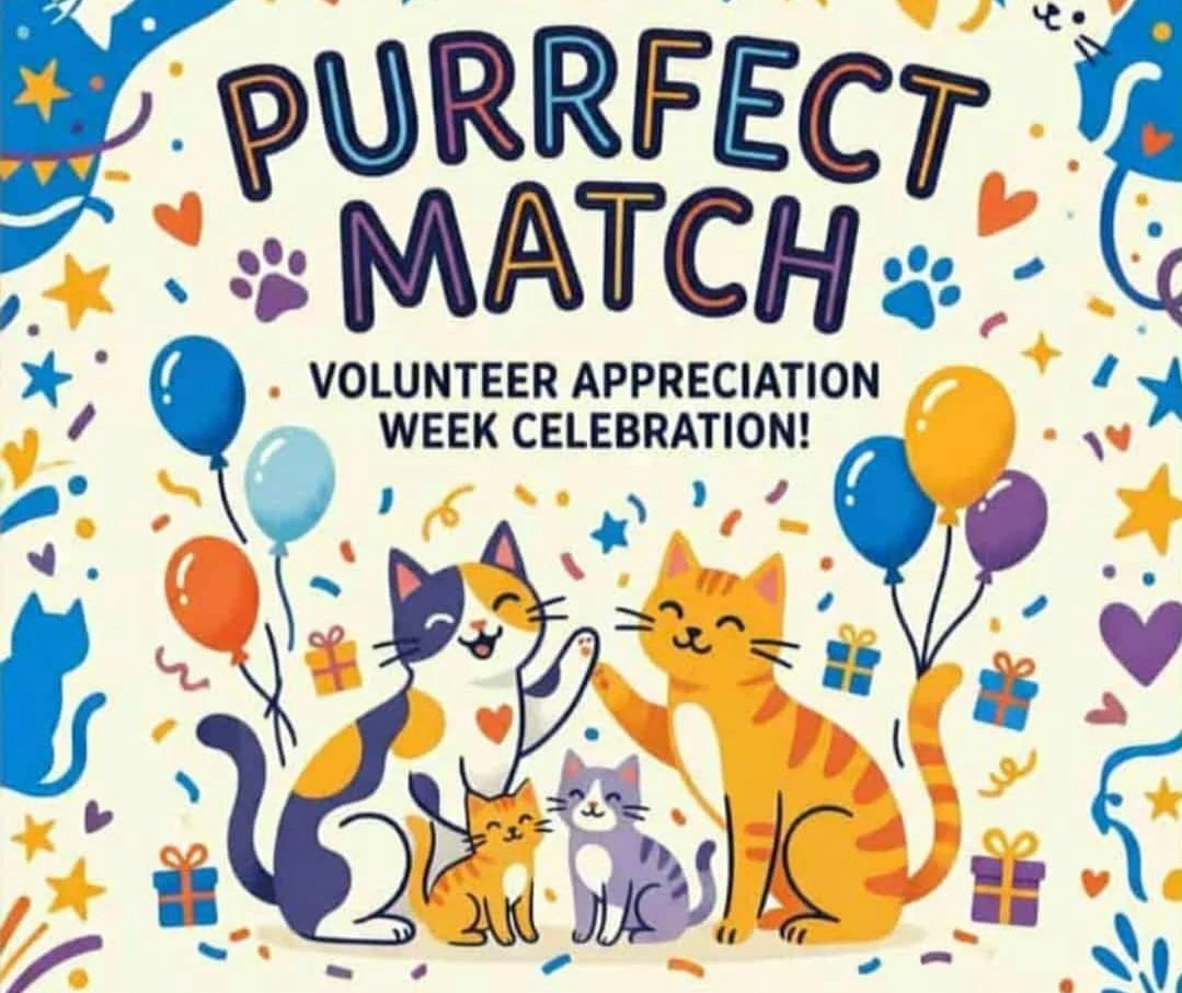 It’s Volunteer Appreciation Week!</span>