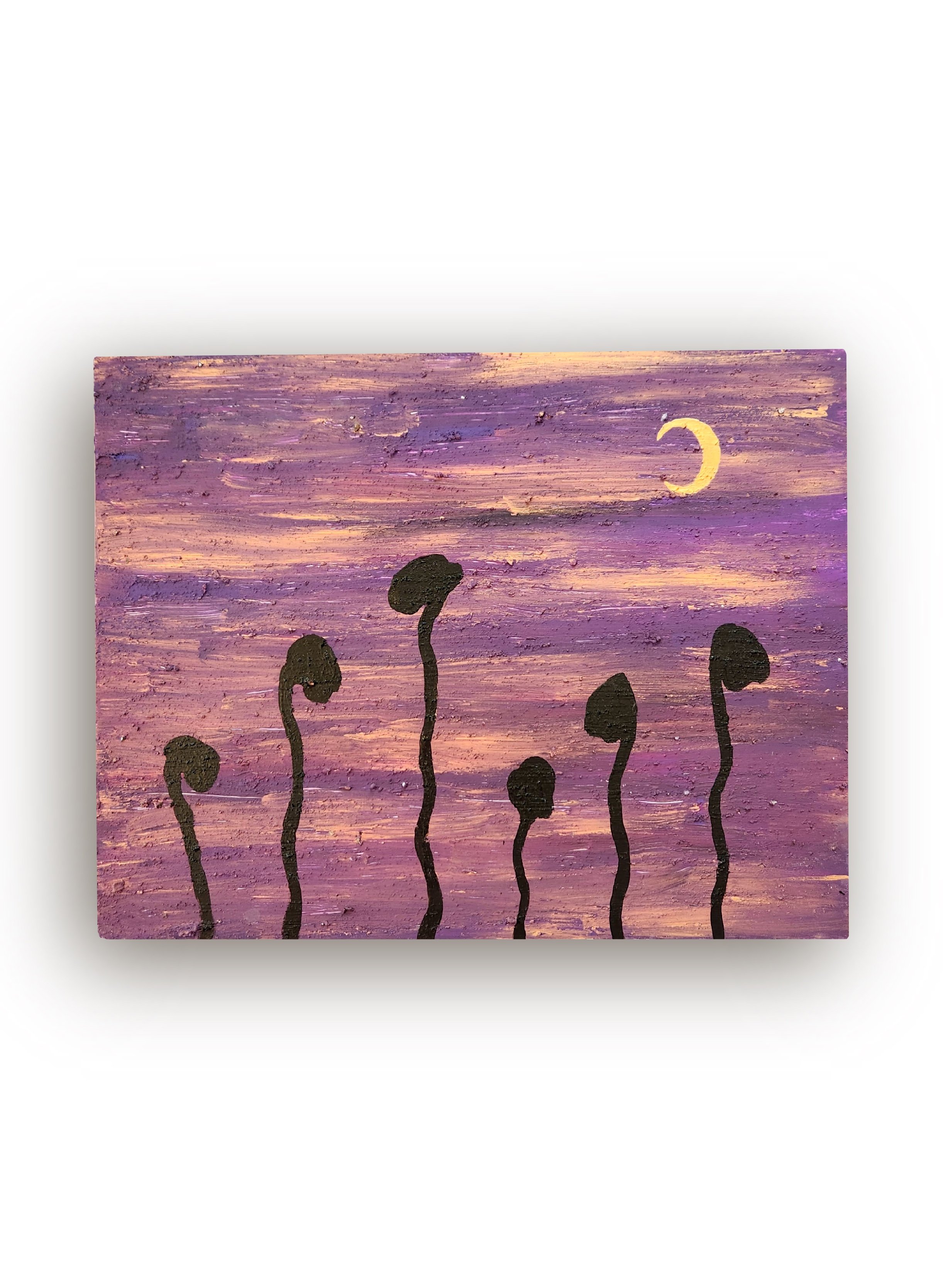 Blooming Shadows