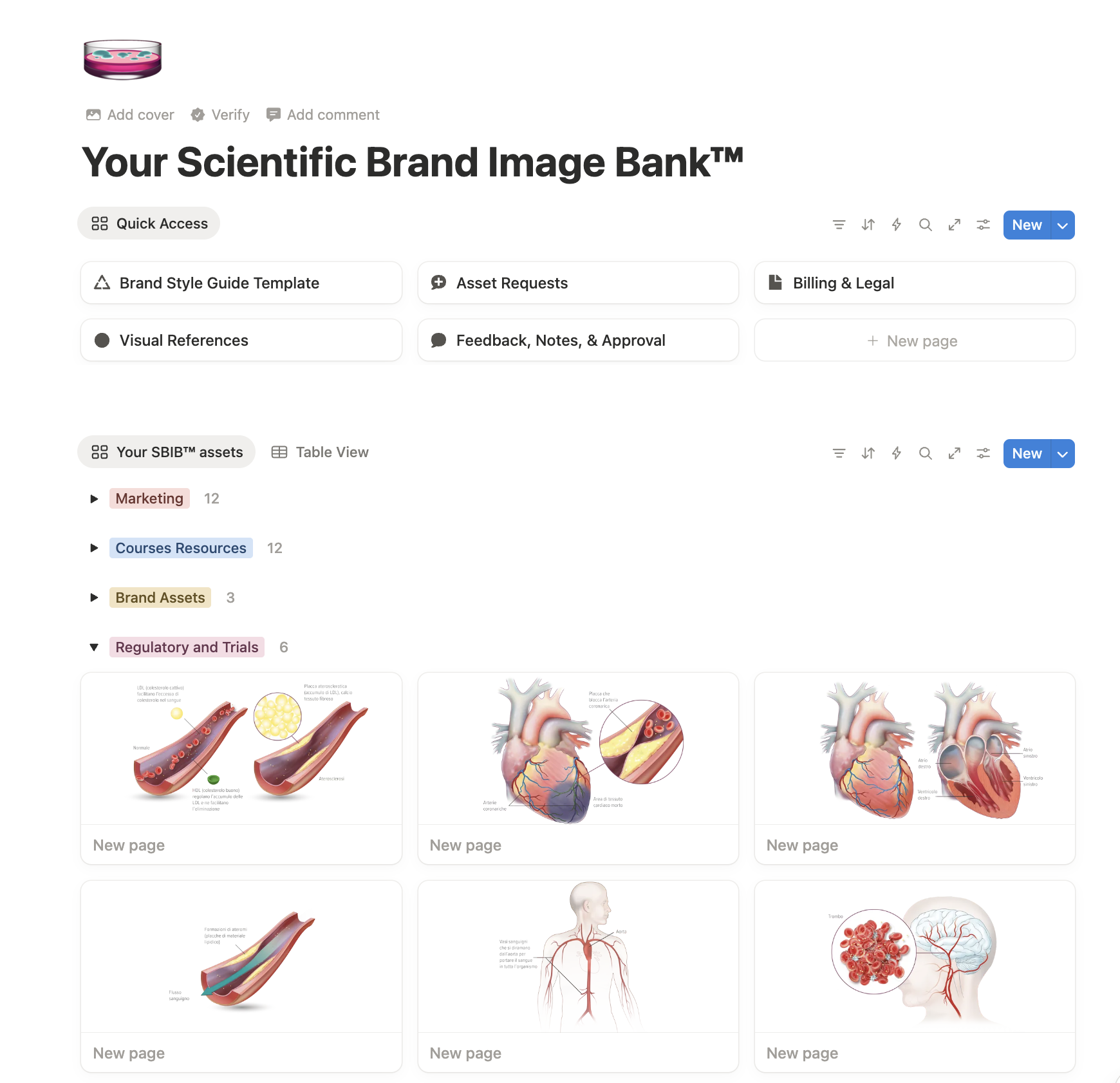 Screenshot of a digital platform named 'Your Scientific Brand Image Bank' with various sections and colorful educational images related to cardiovascular health, including diagrams of blood vessels, the heart, and blood flow.