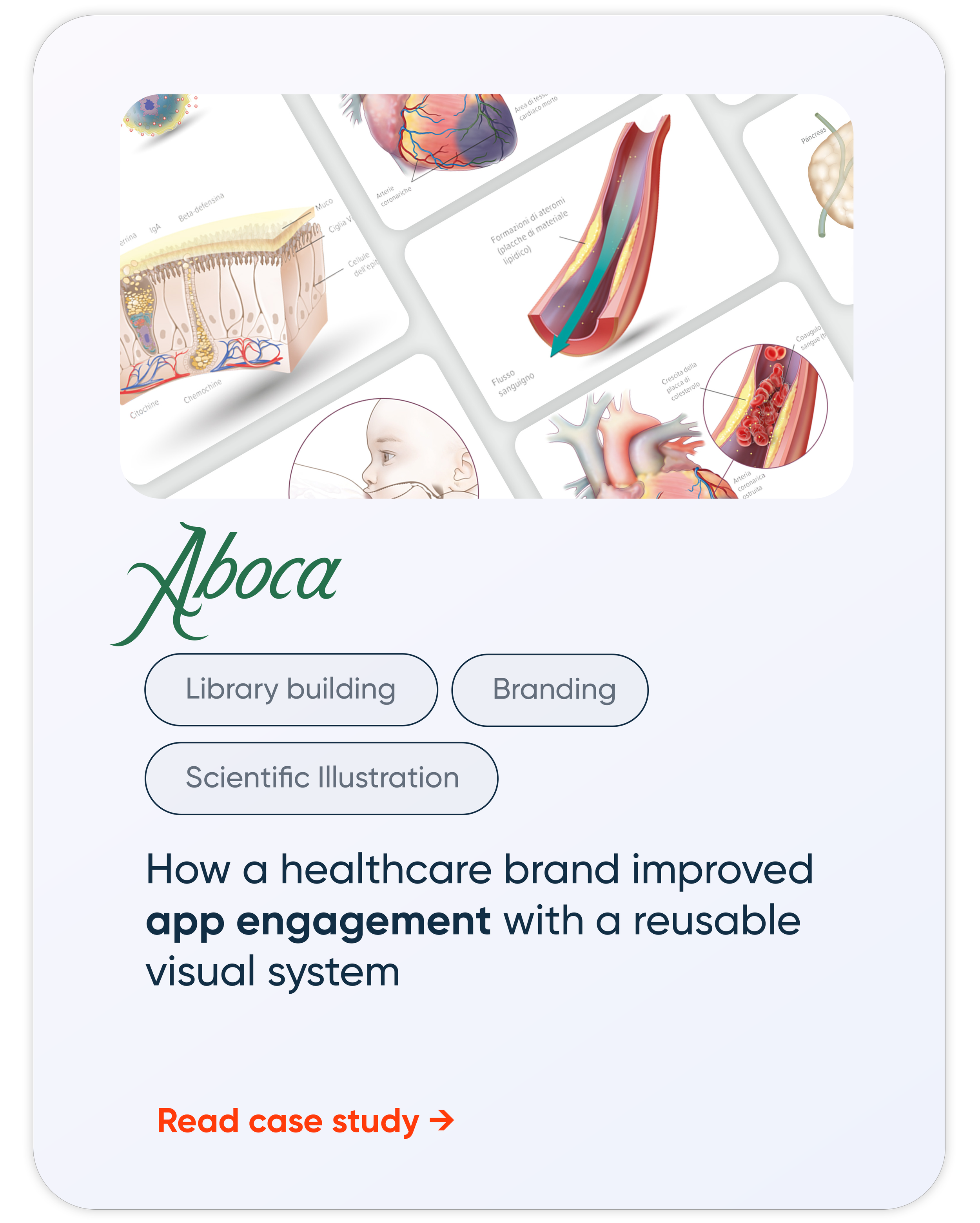 Digital presentation slide with medical illustrations of the human body, including the heart, blood vessels, skin, and nasal passages. The slide features the title 'A boca' and options labeled 'Library building,' 'Branding,' and 'Scientific illustrat