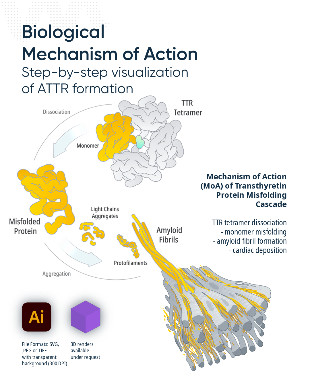 Diagram of the process of protein aggregation in Alzheimer's disease, showing misfolded proteins forming amyloid fibrils and disrupting cell functions, with labels indicating steps like dissociation, monomer formation, aggregation, protofibrils, amyl