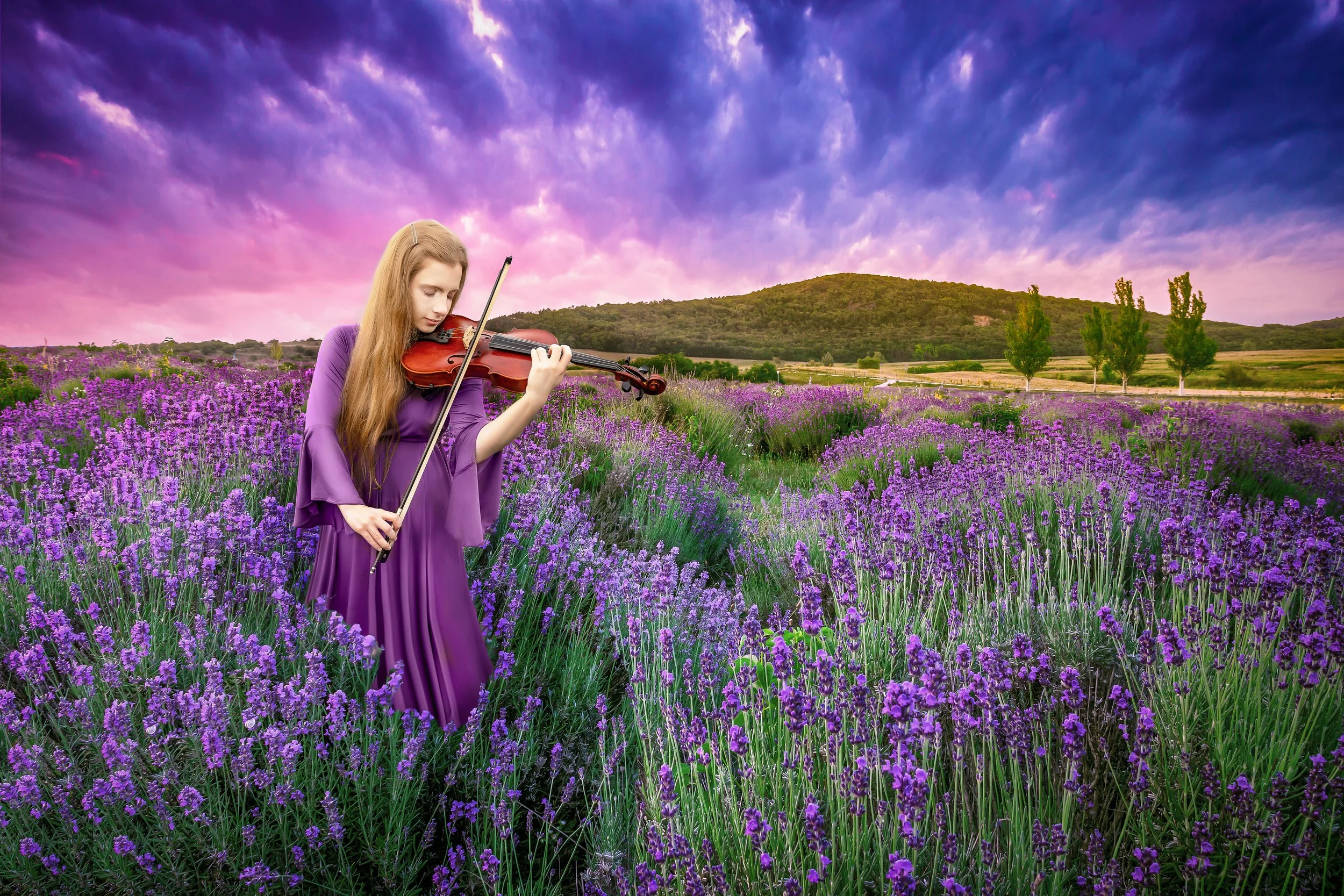 senior-girl-lavender field-viola