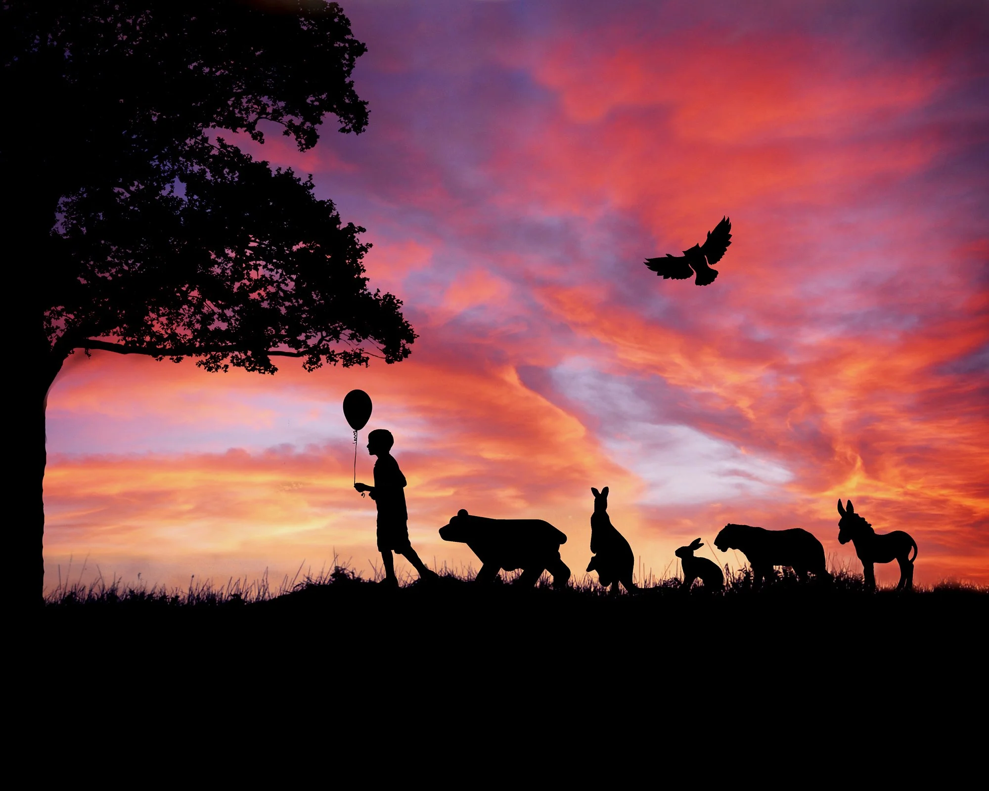 storybook-animals-shadows-imagination creation.jpg