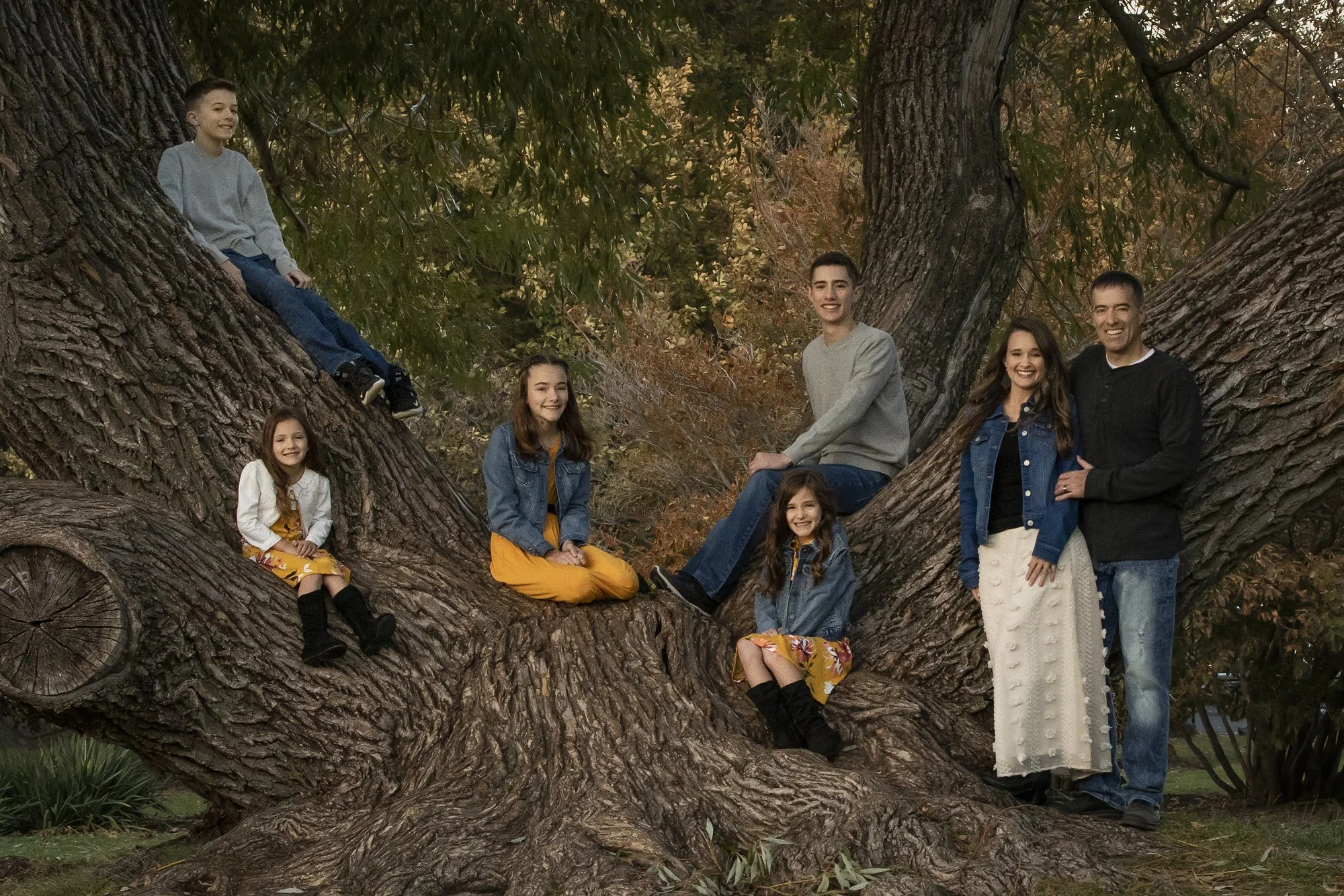 family-tree