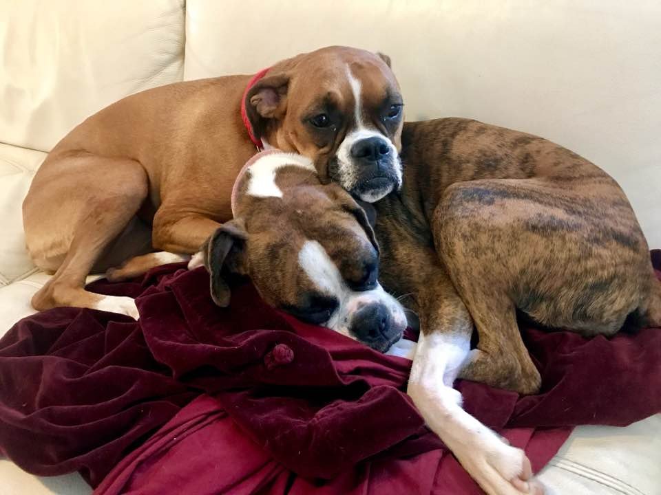 Much To Be Thankful For