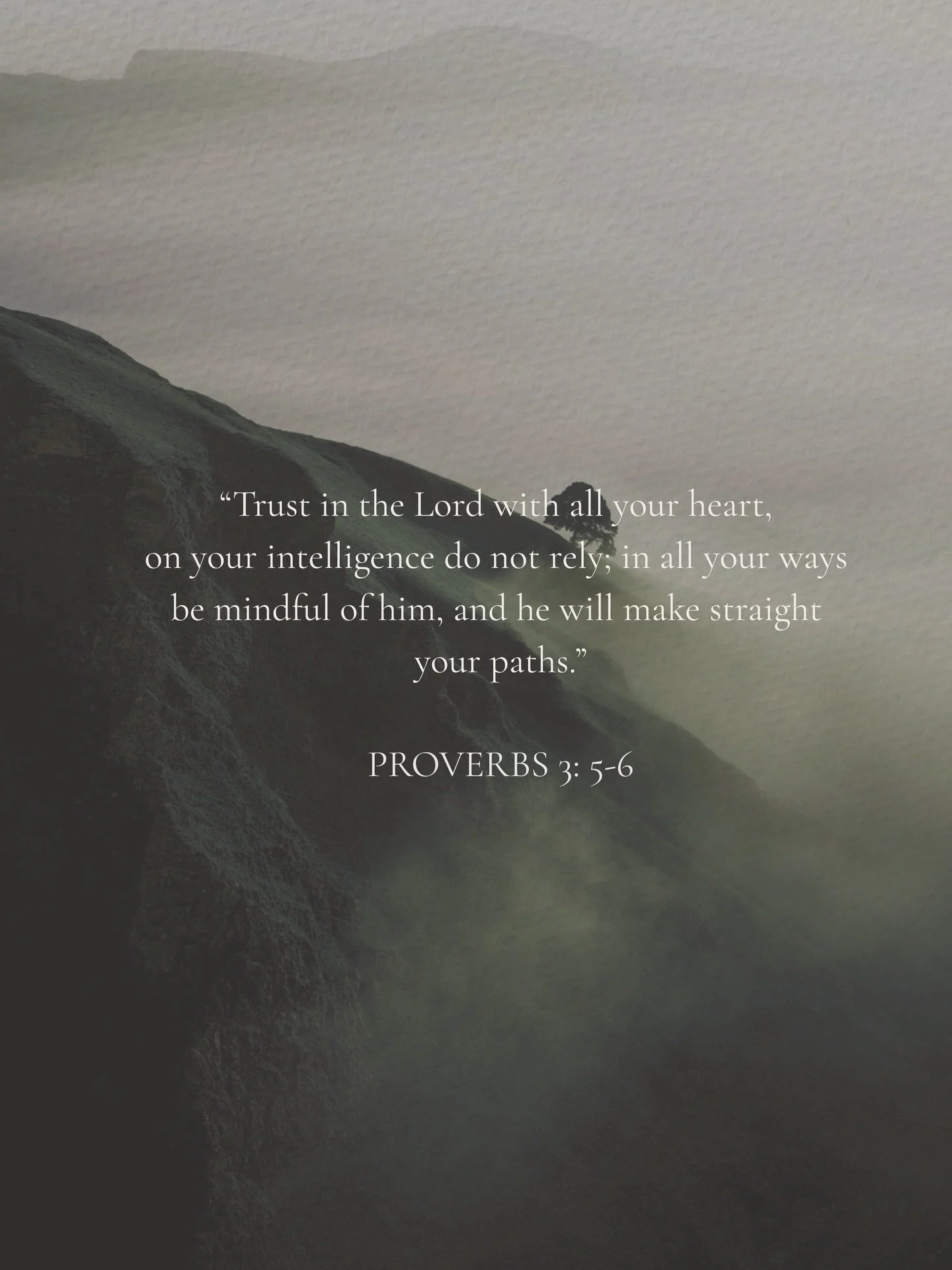 &ldquo;Trust in the Lord with all your heart, on your intelligence do not rely; in all your ways be mindful of him, and he will make straight your paths.&rdquo;
Proverbs 3: 5-6