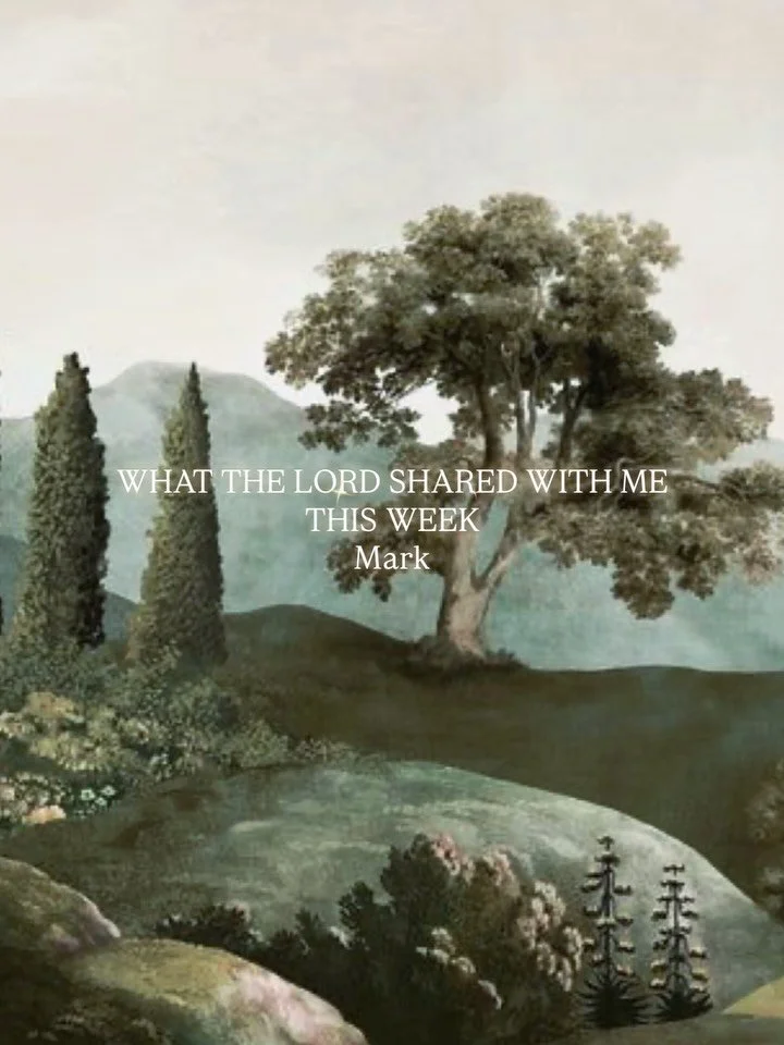 The seed isn&rsquo;t the problem.
The soil is. 🌱

Jesus explains it in Mark 4: 3-20
God&rsquo;s Word produces fruit when it lands on a ready heart.

📖 Read it. Sit with it. Let it grow.