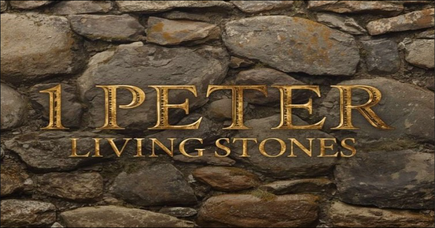 Christian Submission to Government Authority: 1 Peter 2