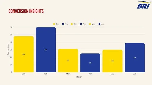 Social Star - BRinternational conversion insights