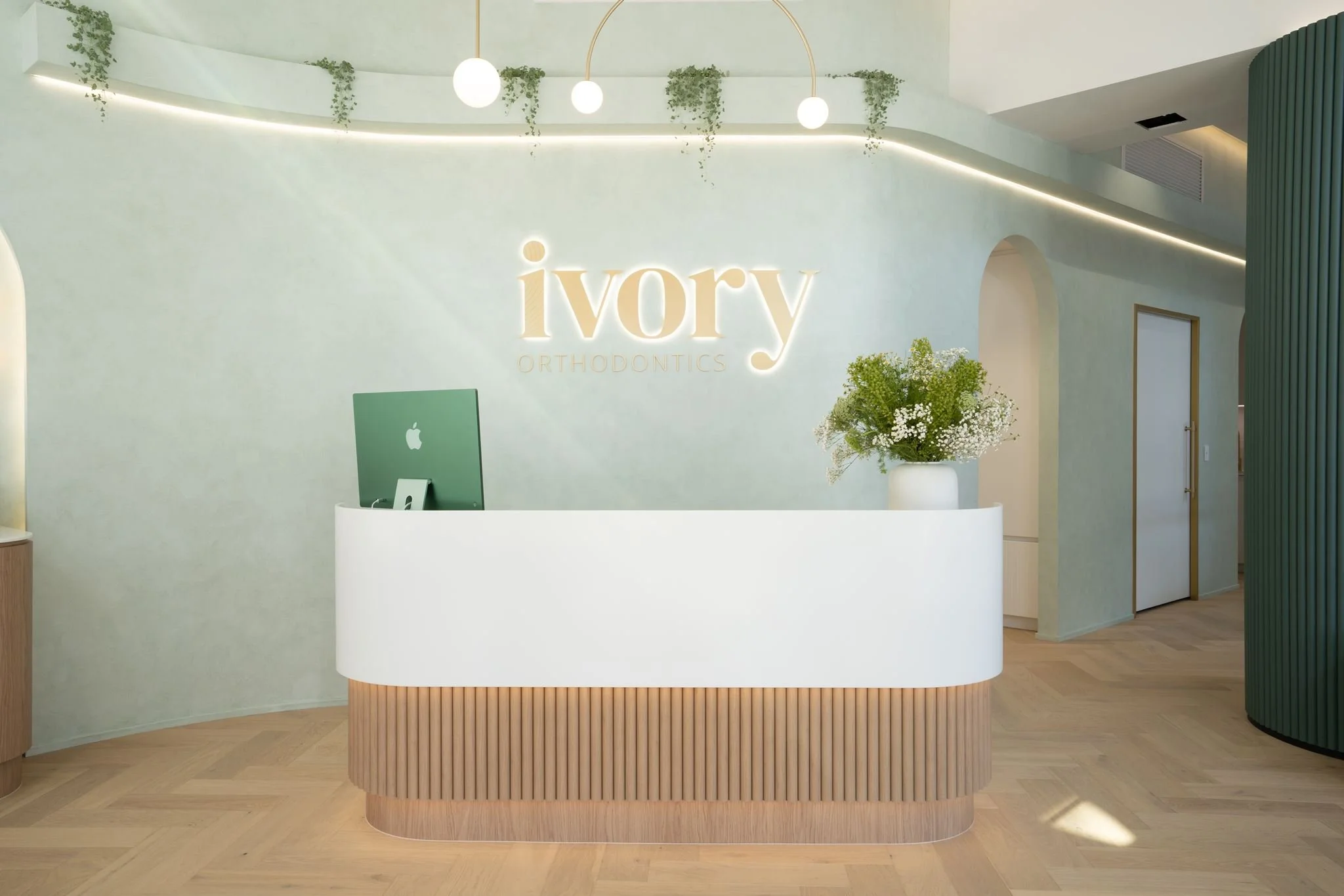 Ivory Orthodontic RoughCull - 2.jpg