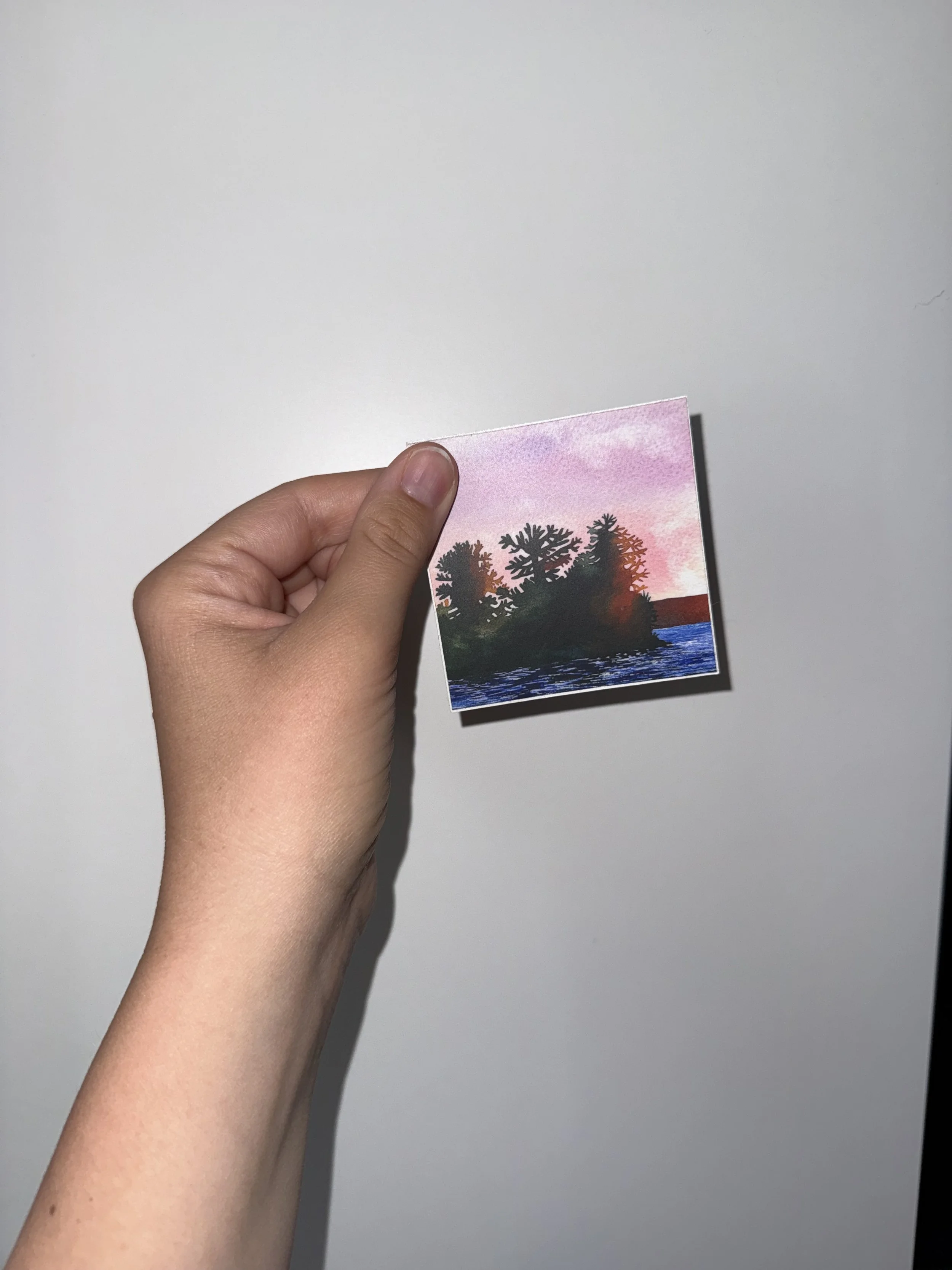 IMG_7081.jpeg