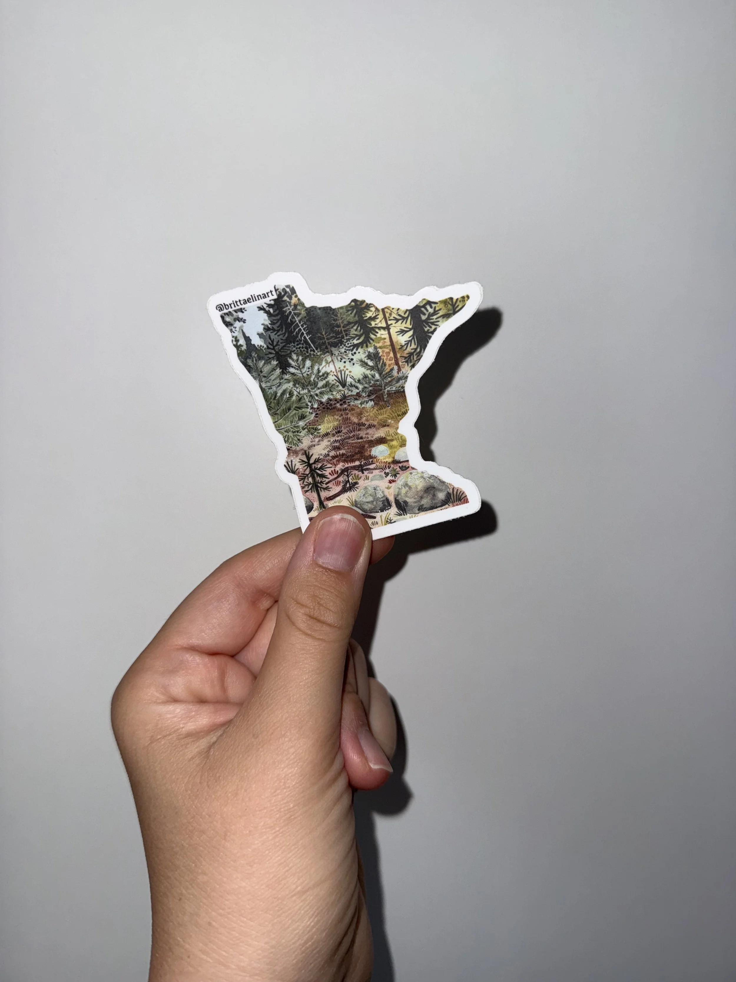 IMG_7079.jpeg