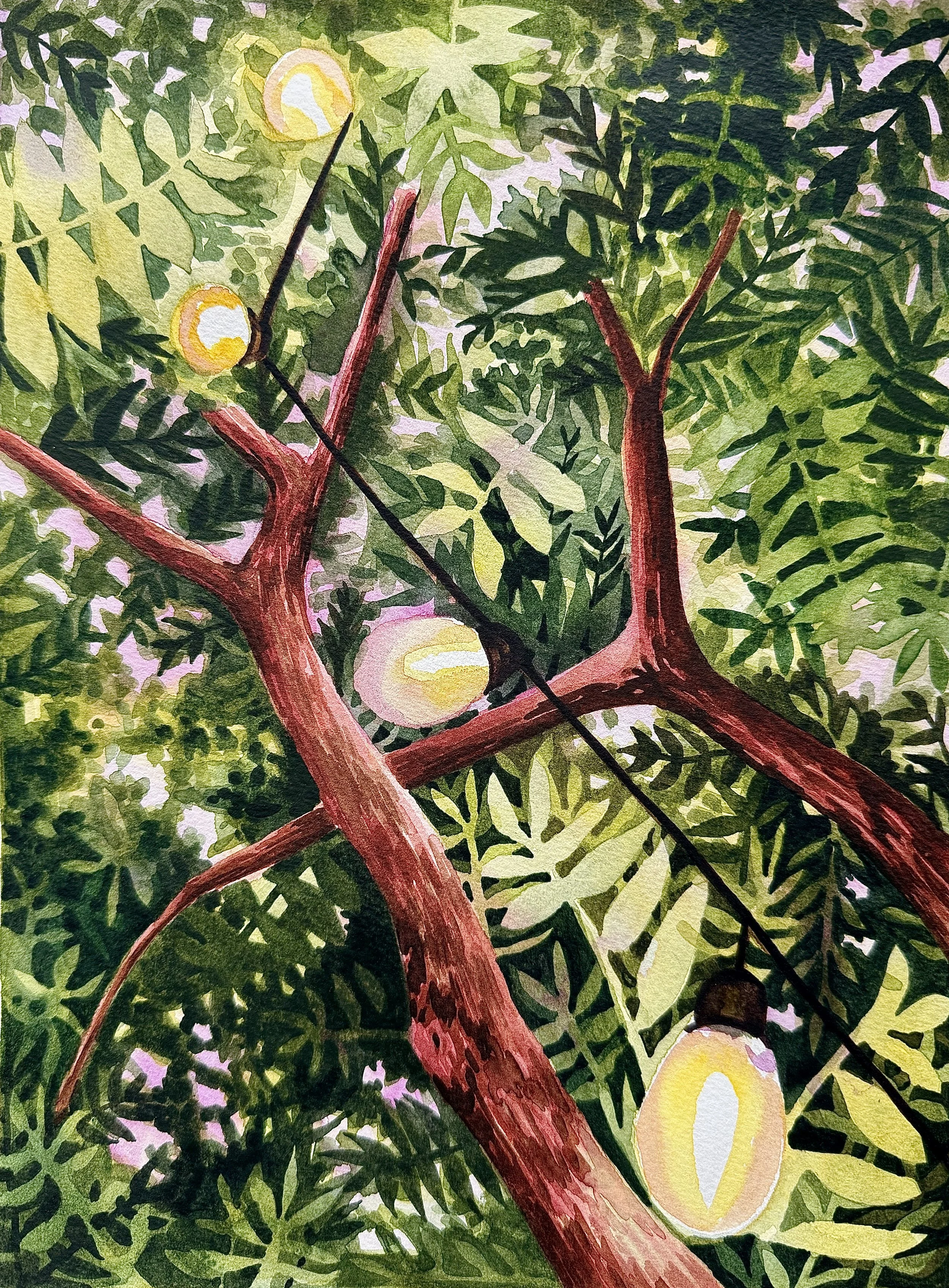 Summer Lights