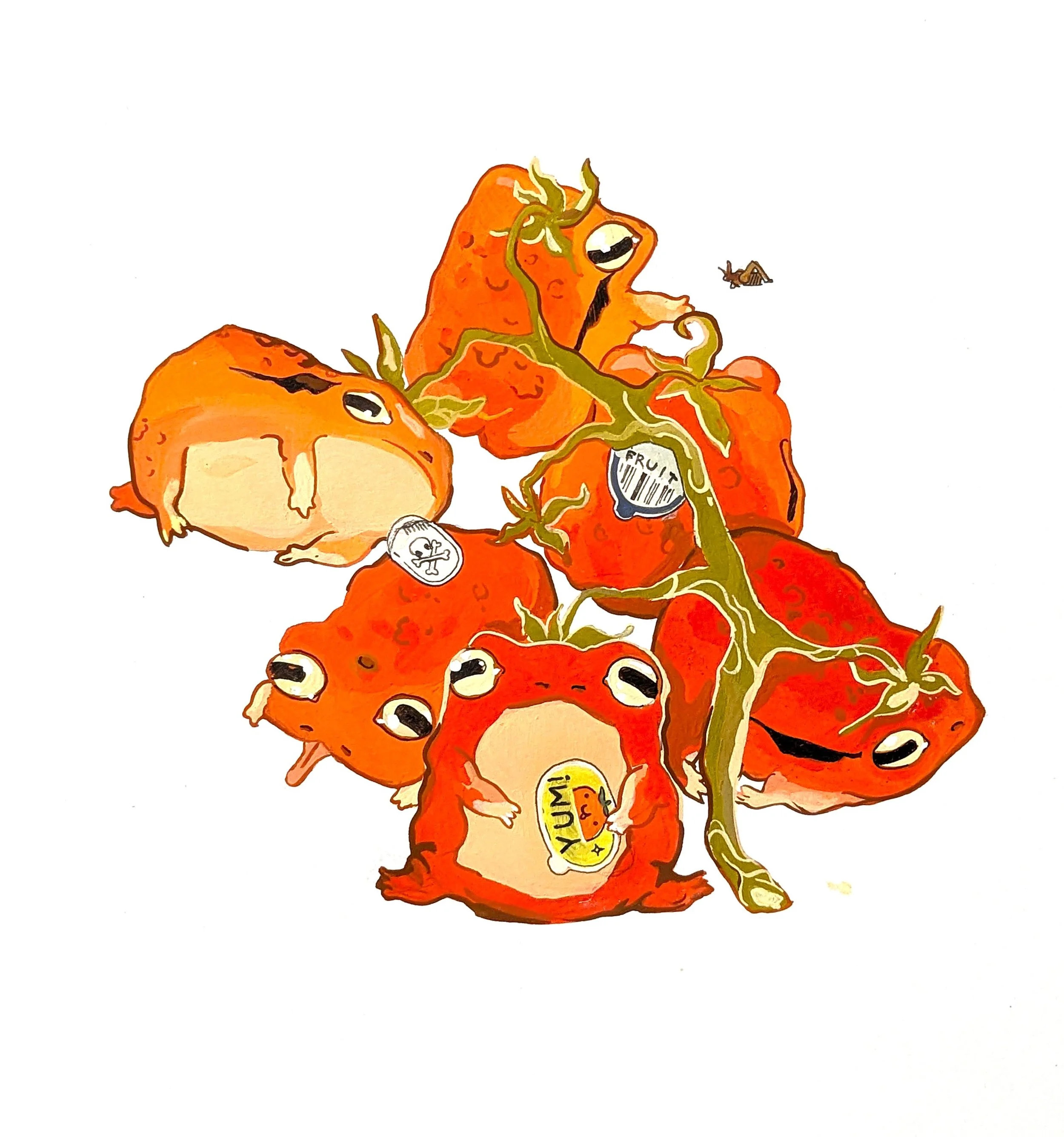 tomato frog.jpg