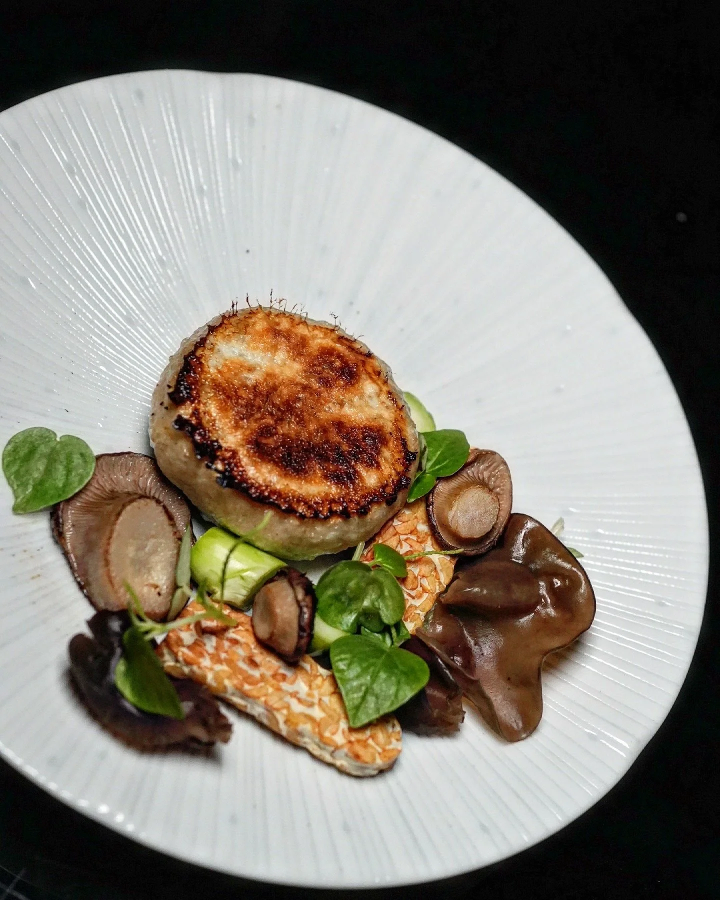 F0C47035-C37F-4940-8A9C-1383E86309C9 2.JPG