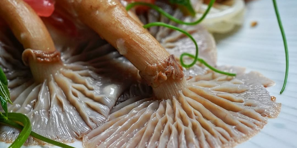 Umami Through _Mushroom Magic