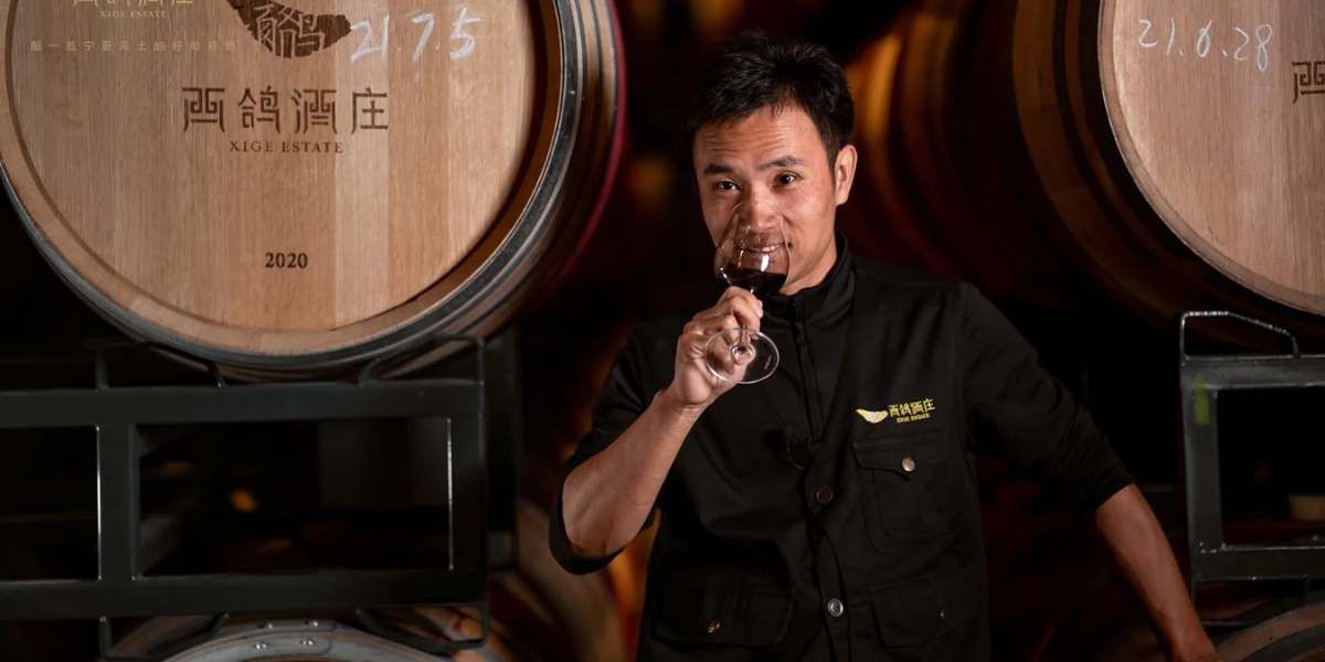 Why Vegan Wine_ Understanding the Fit
