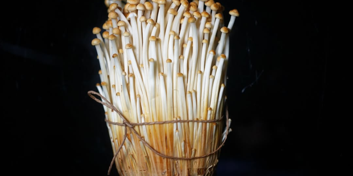 Grilled Exotic Mushrooms in Double-Sided Crispy Pie