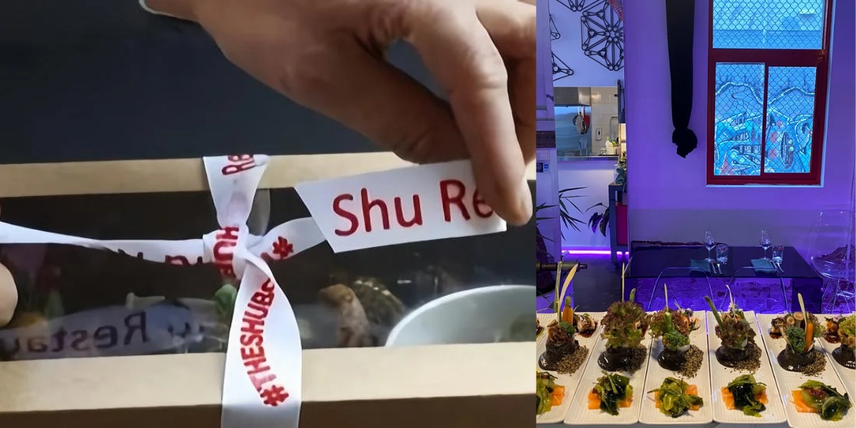 A Gift That Promises Future Fun