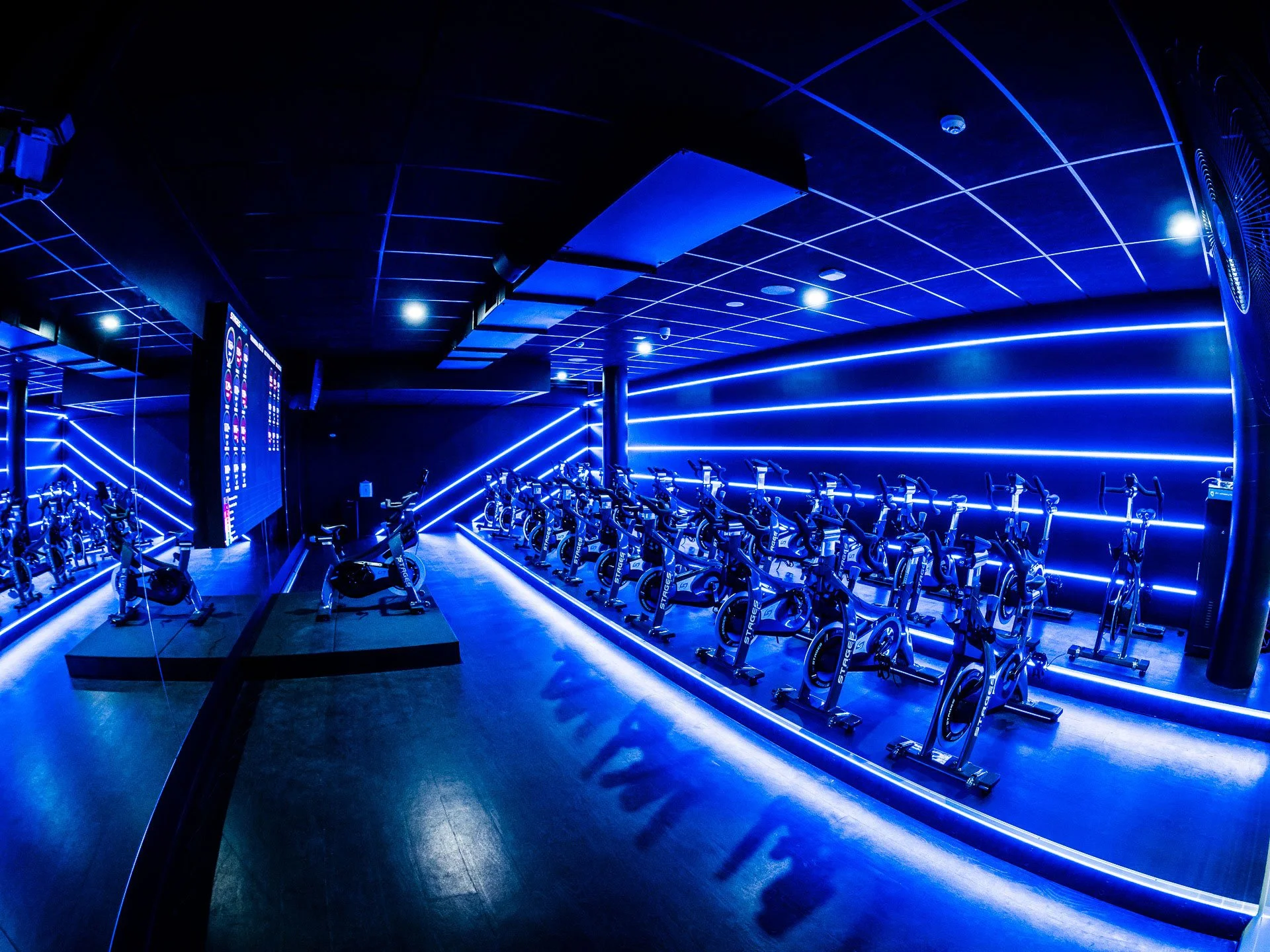 Training Areas O2 Performance 24hr Fitness Facility