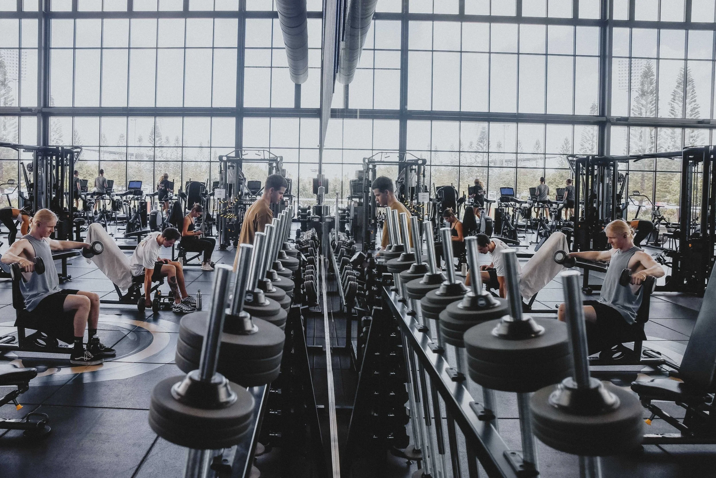 Free weights and strength equipment