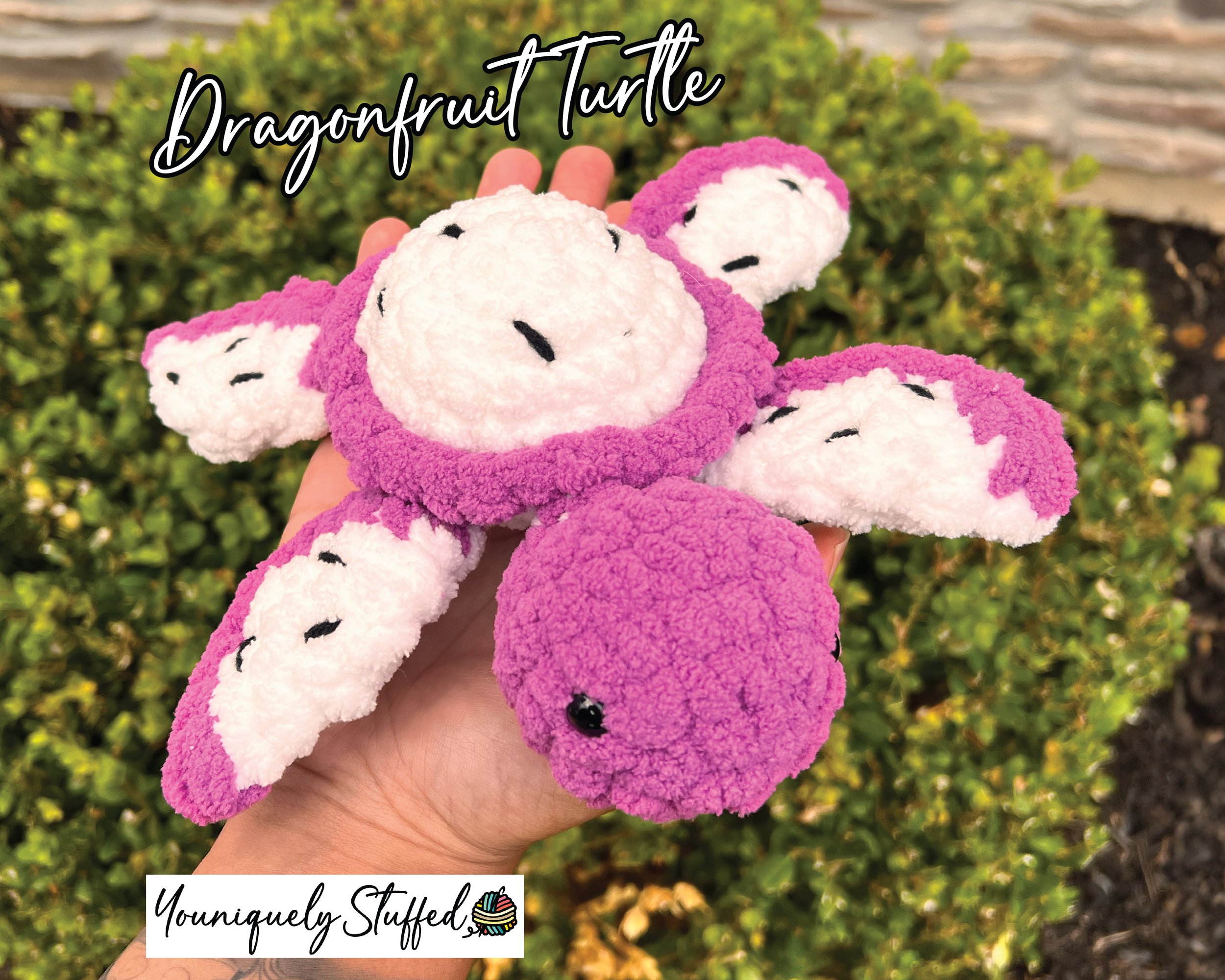 Dragonfruit-Turtle-01.jpg